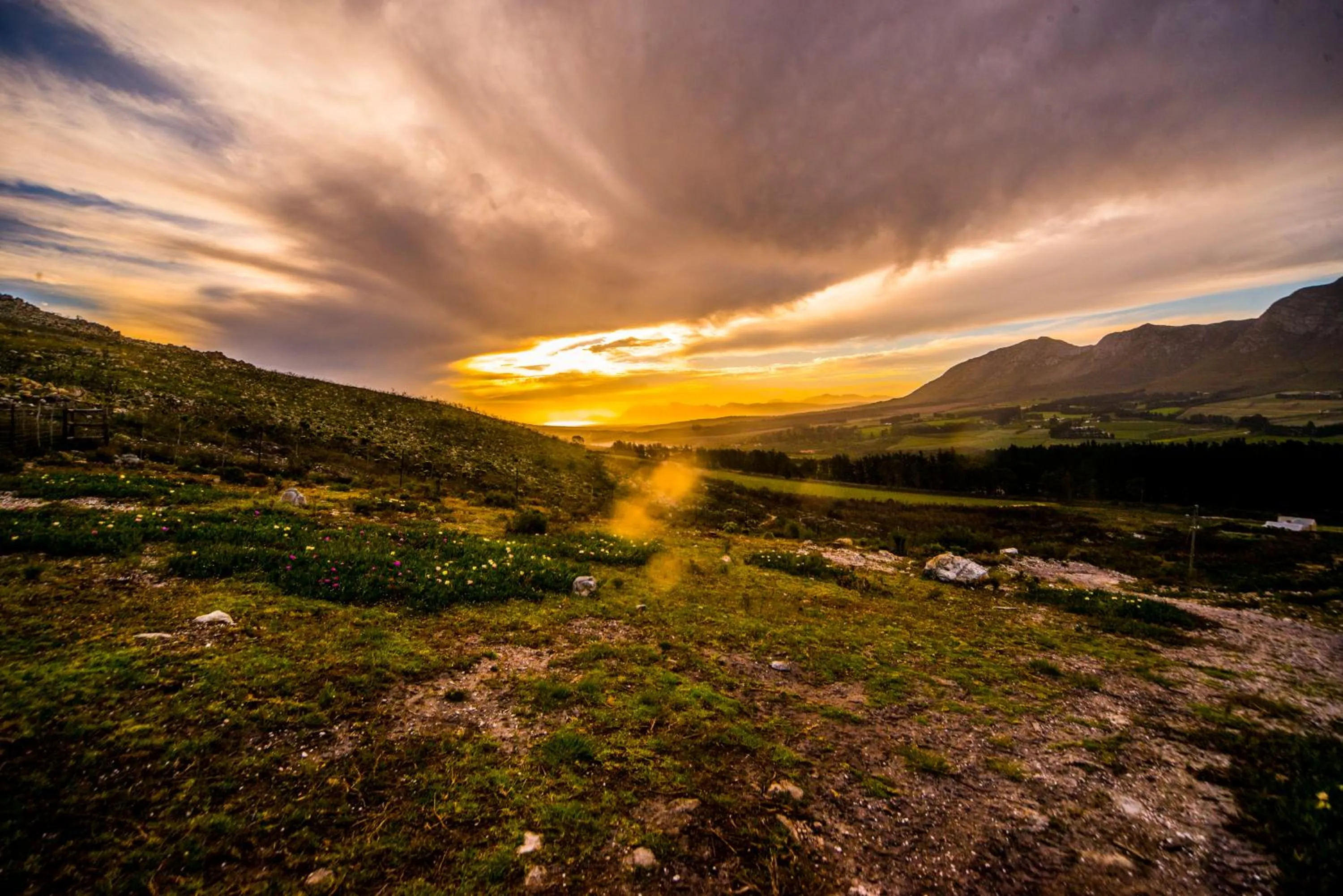 Natural landscape in High Season Farm Luxury Cottages