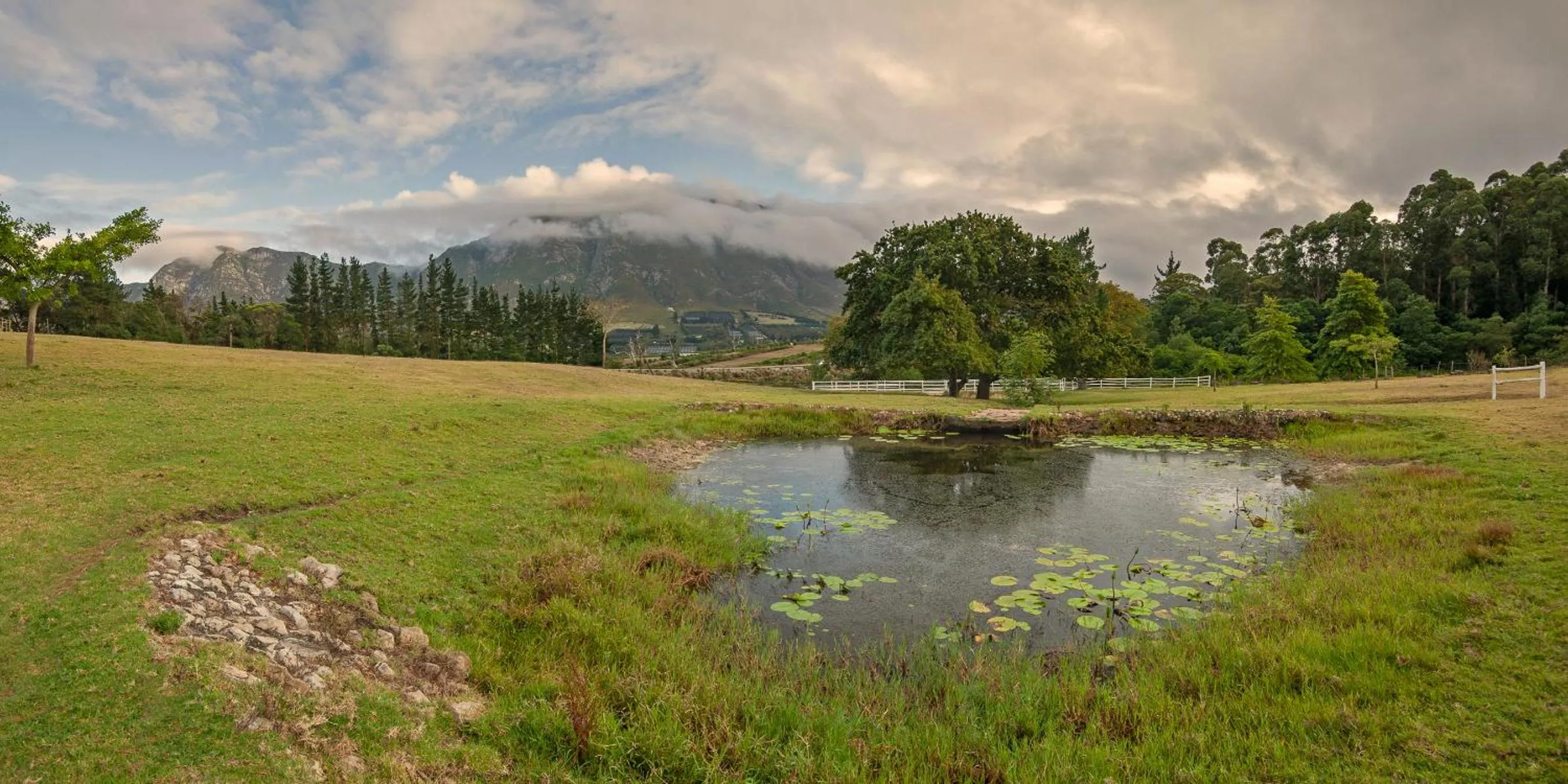 Day in High Season Farm Luxury Cottages
