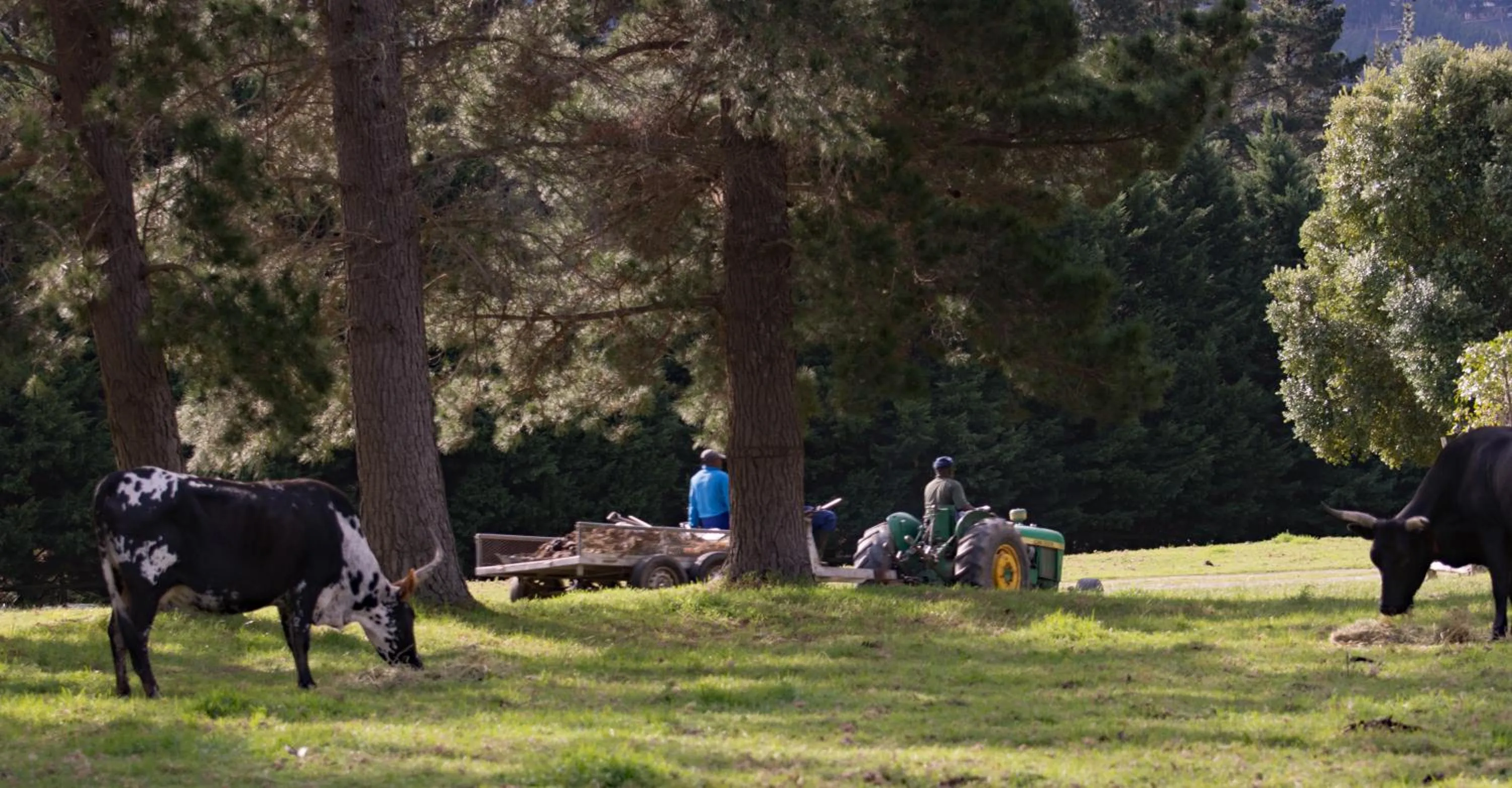 People in High Season Farm Luxury Cottages
