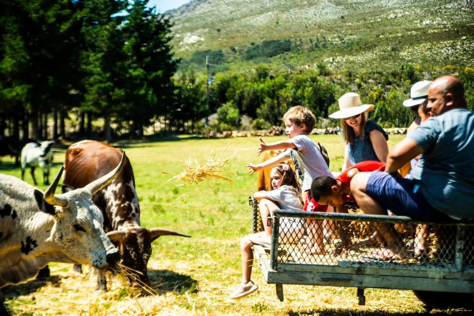 People in High Season Farm Luxury Cottages