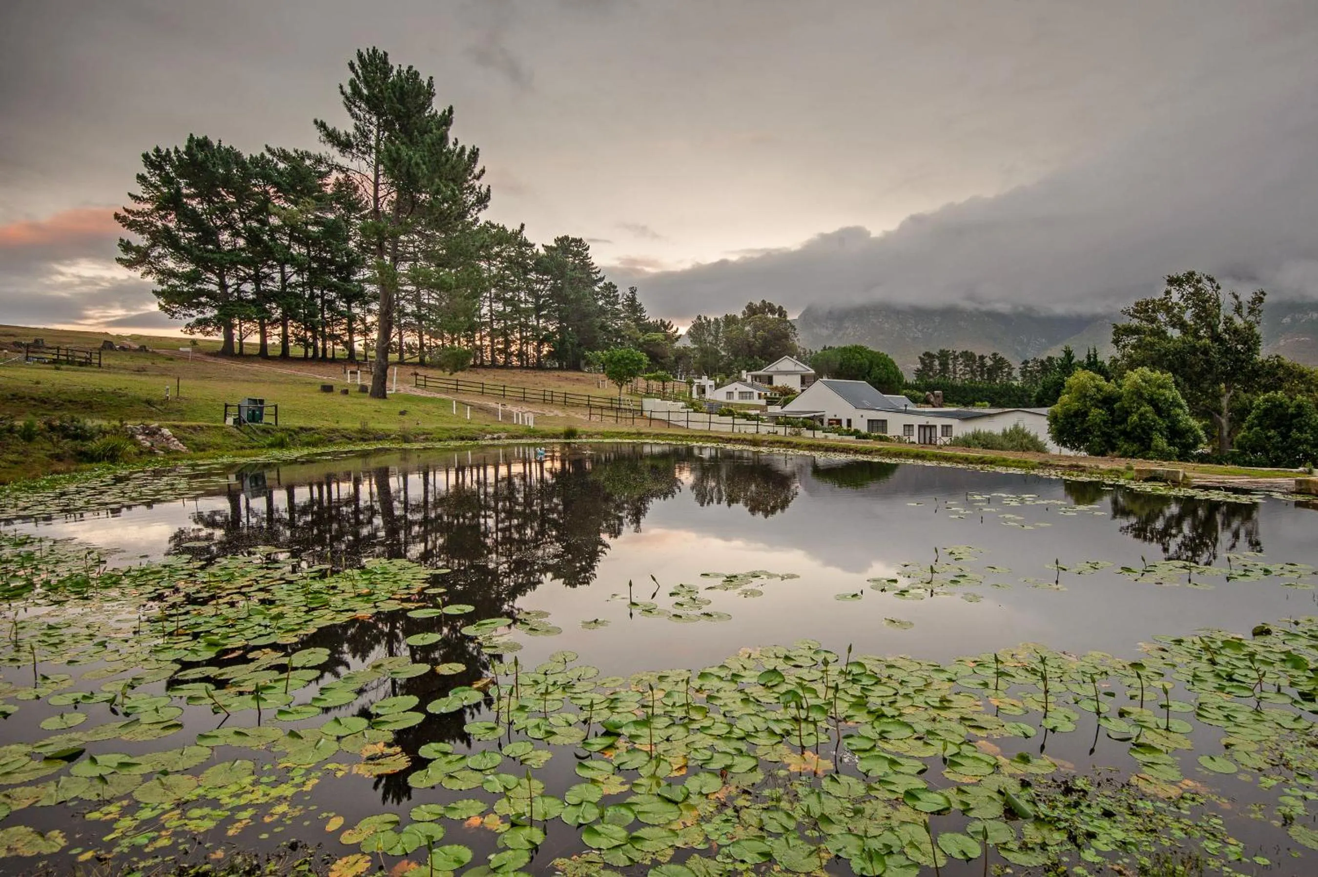Natural landscape in High Season Farm Luxury Cottages