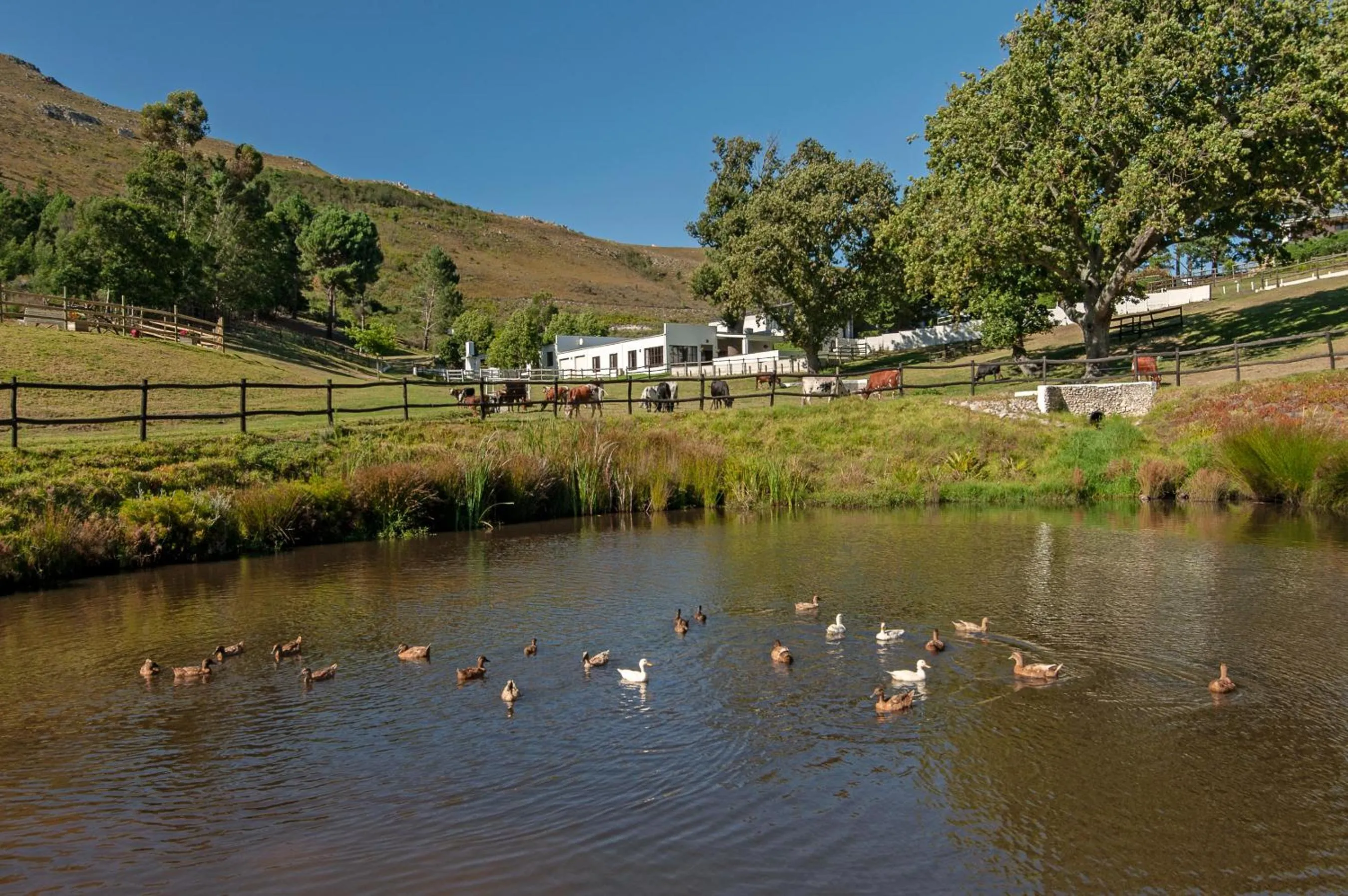 Natural landscape in High Season Farm Luxury Cottages