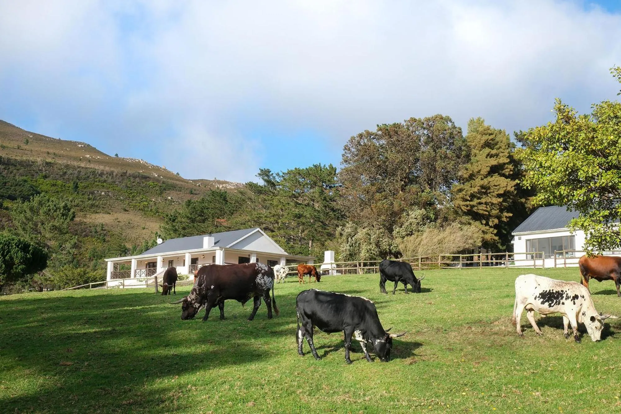 Garden in High Season Farm Luxury Cottages