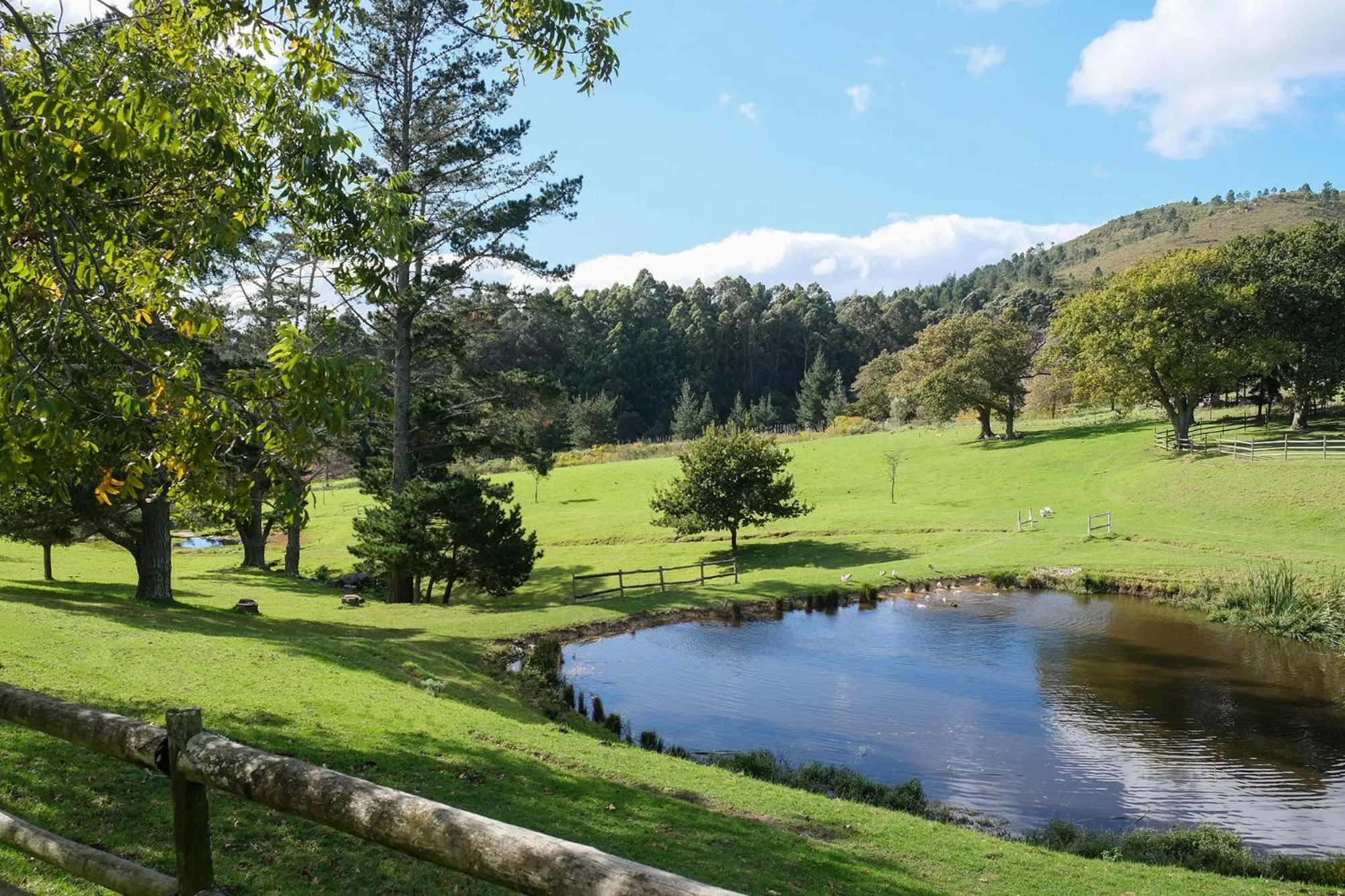 Garden view in High Season Farm Luxury Cottages
