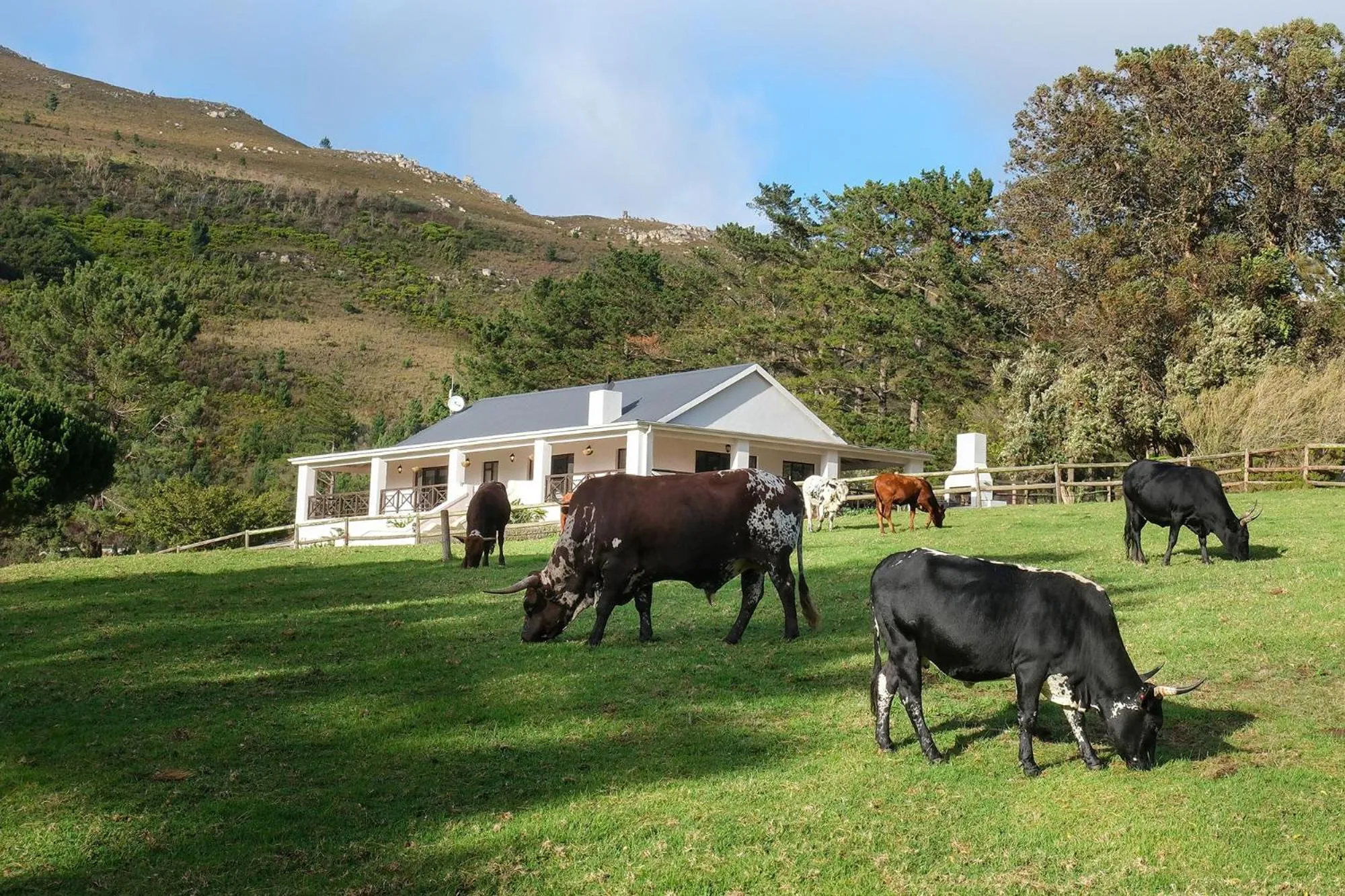 Garden view in High Season Farm Luxury Cottages