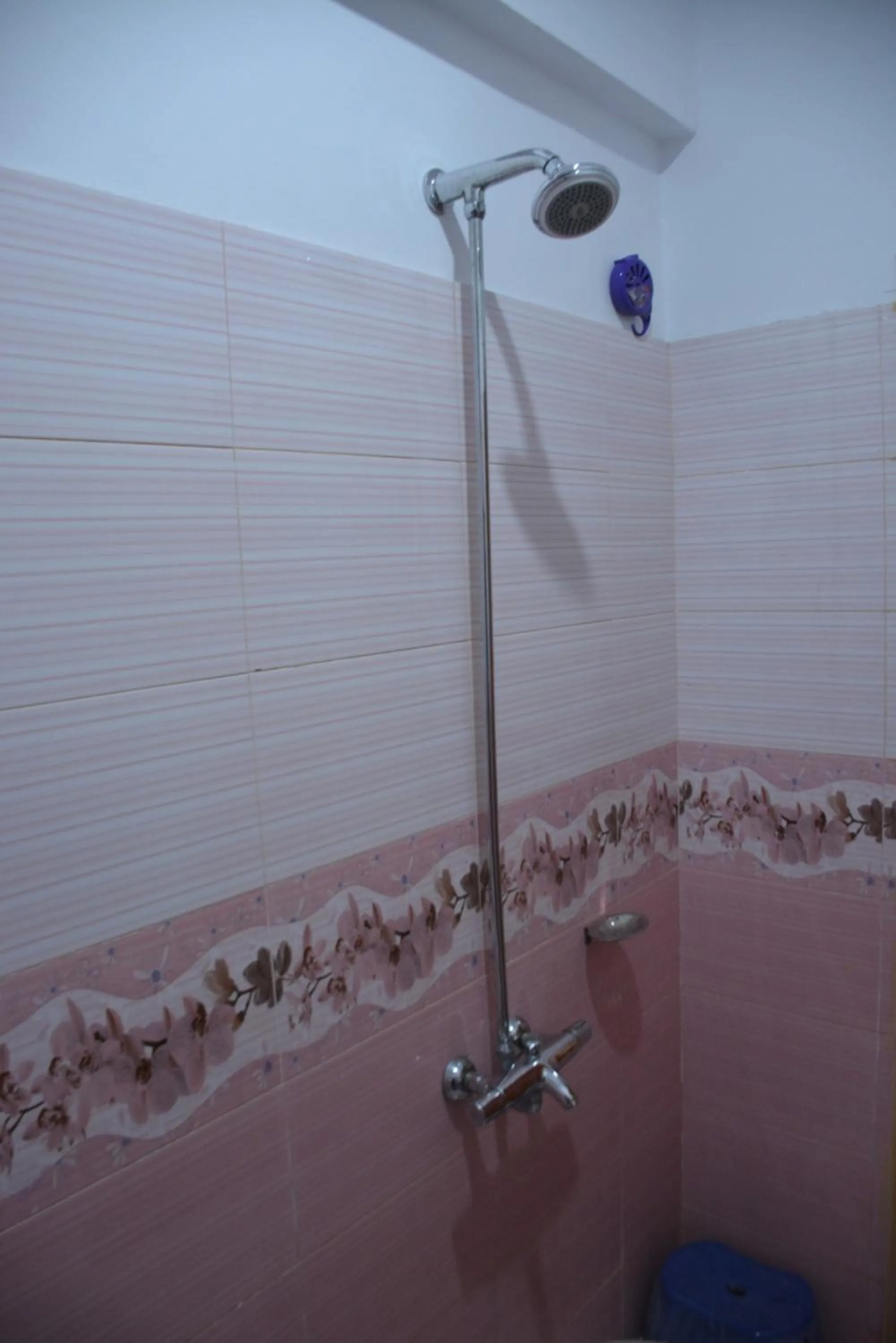 Shower in PC Green Hotel, Mahandri, Kaghan