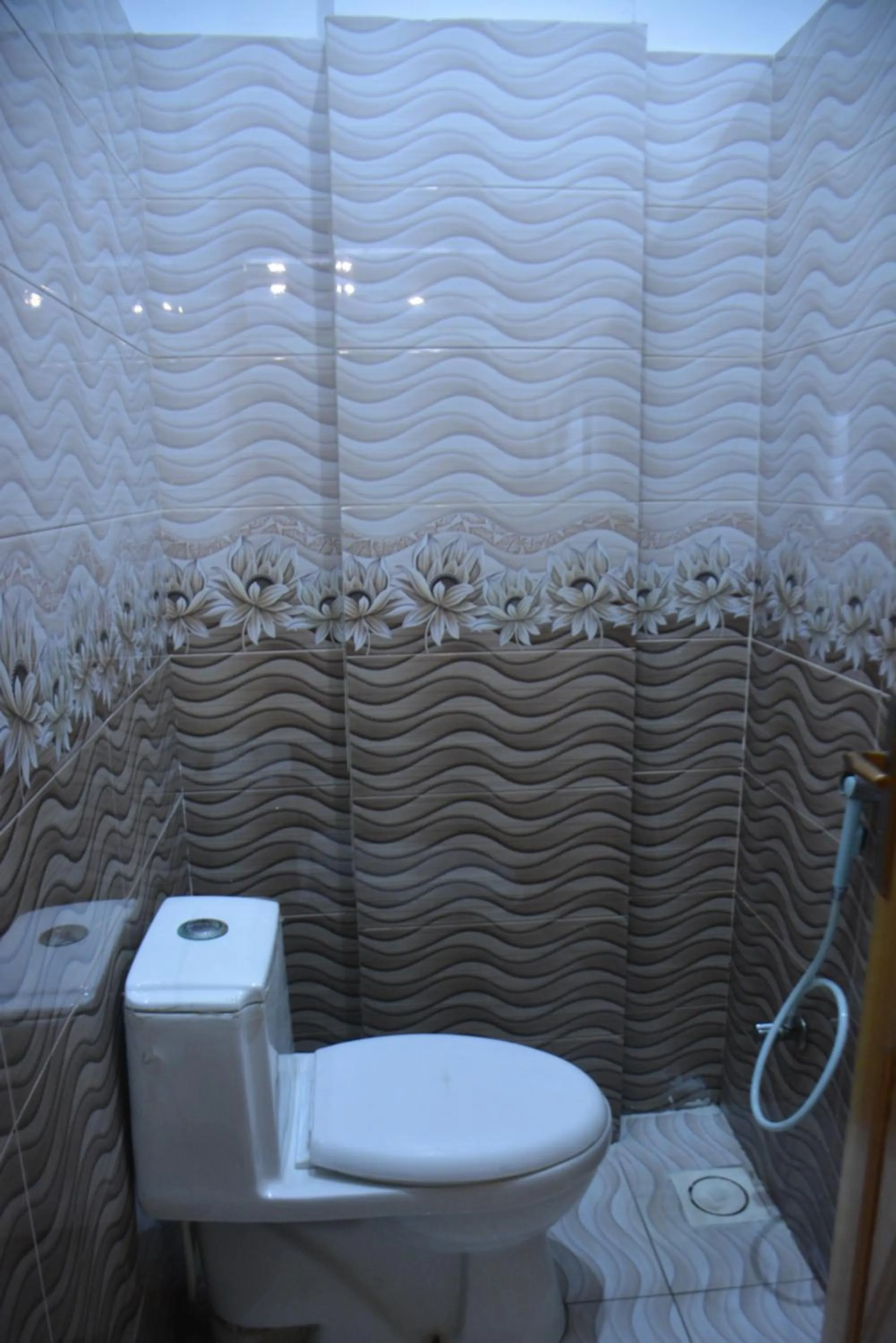 Toilet in PC Green Hotel, Mahandri, Kaghan