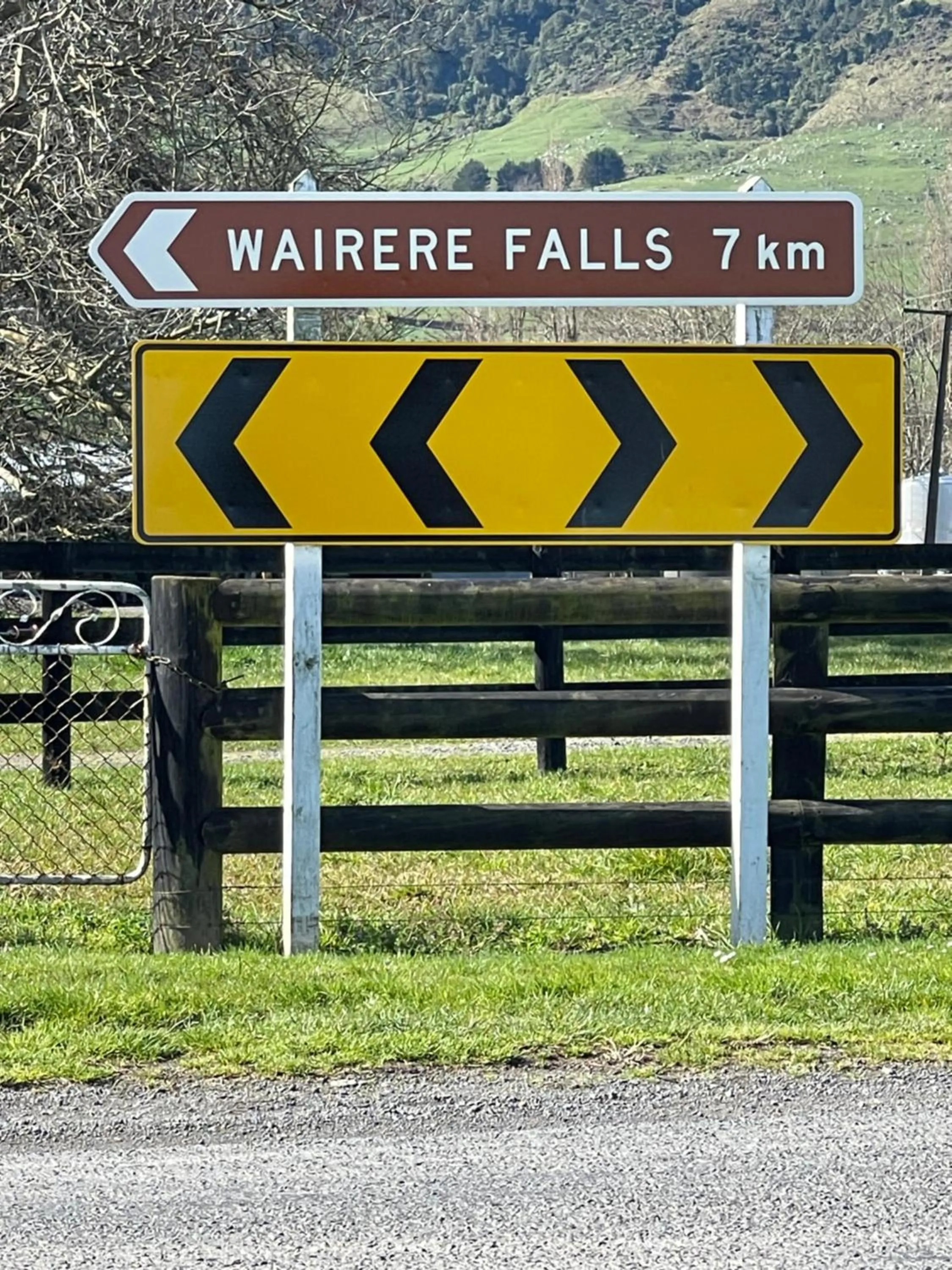 Hiking in Matamata Lodge