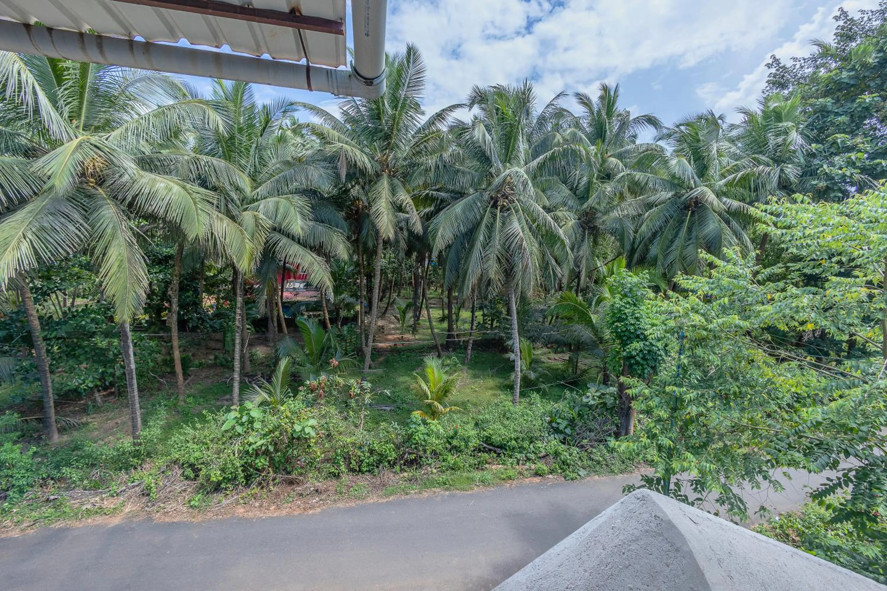 Natural landscape in The Sequeira Goa