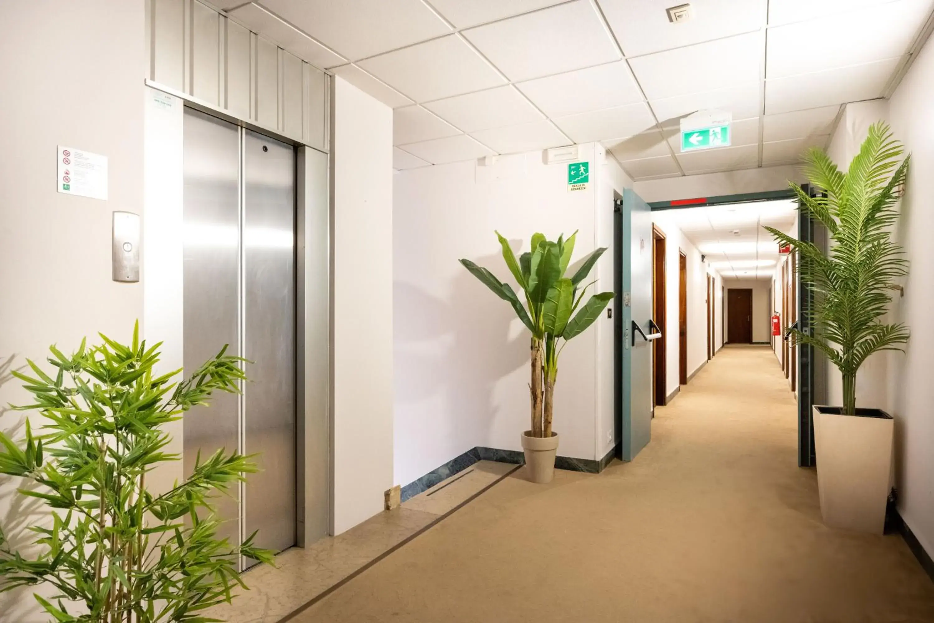 Lobby or reception in Camelia Rooms Venice Guesthouse Lobby or reception in Camelia Rooms Venice Guesthouse