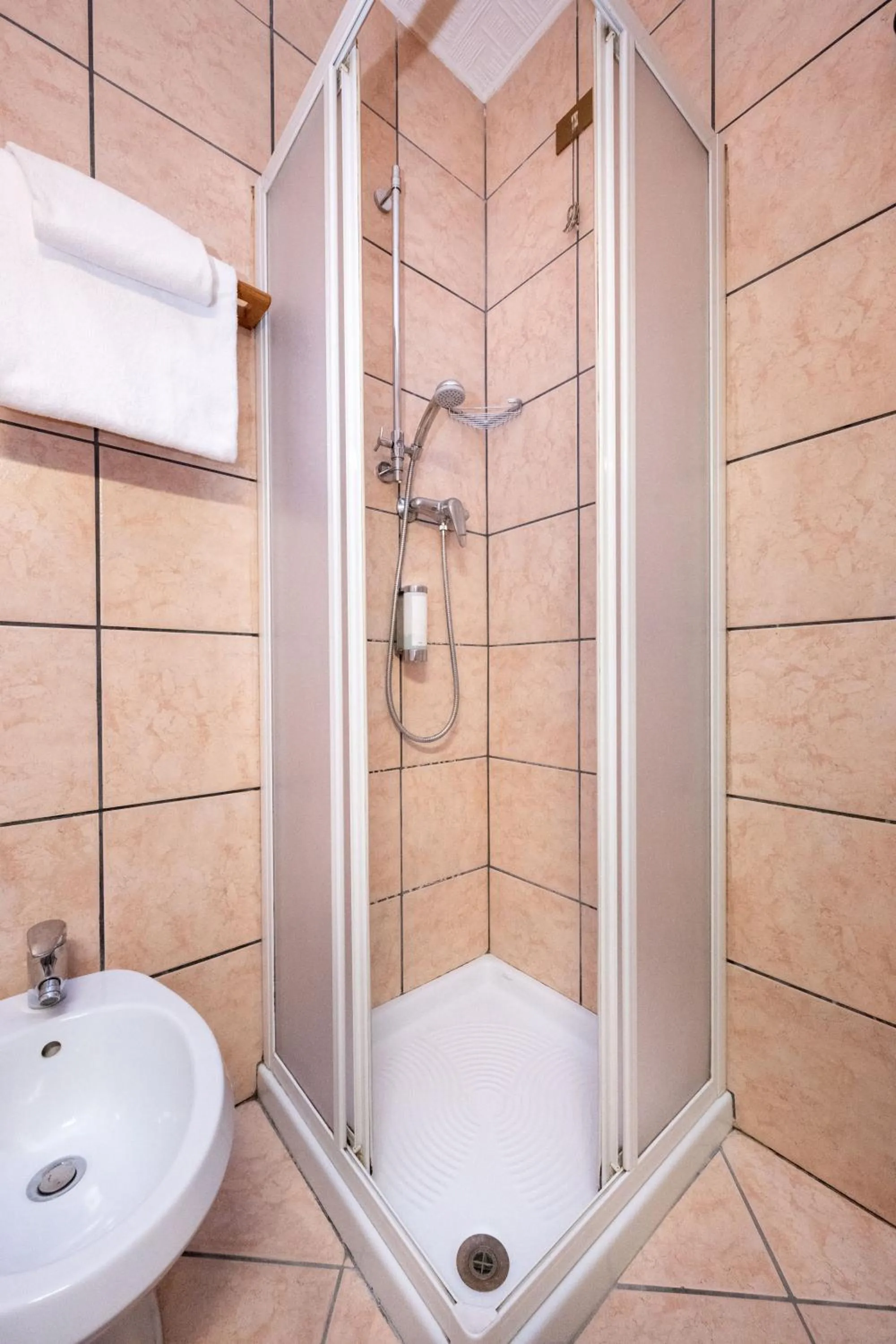 Shower in Camelia Rooms Venice Guesthouse