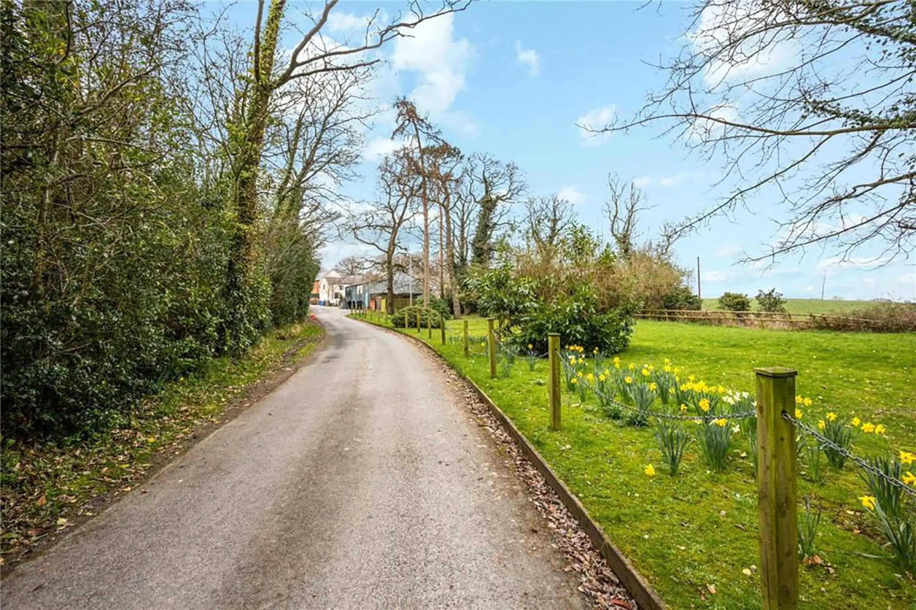 View (from property/room) in Plas Bellin Hall View (from property/room) in Plas Bellin Hall