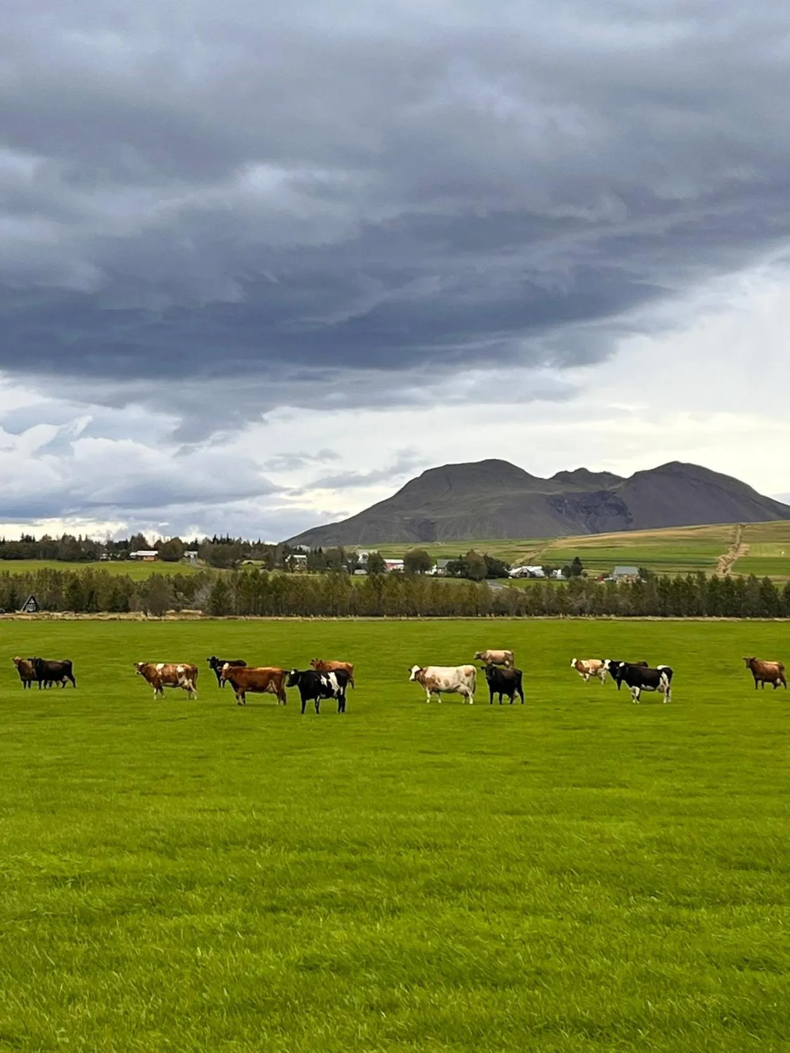 View (from property/room) in Hótel Eyjafjallajökull