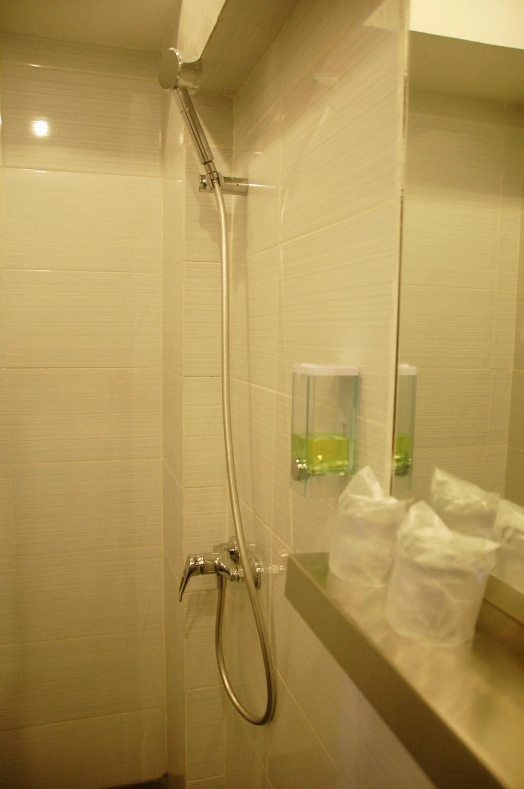 Shower in Gandhi Inn