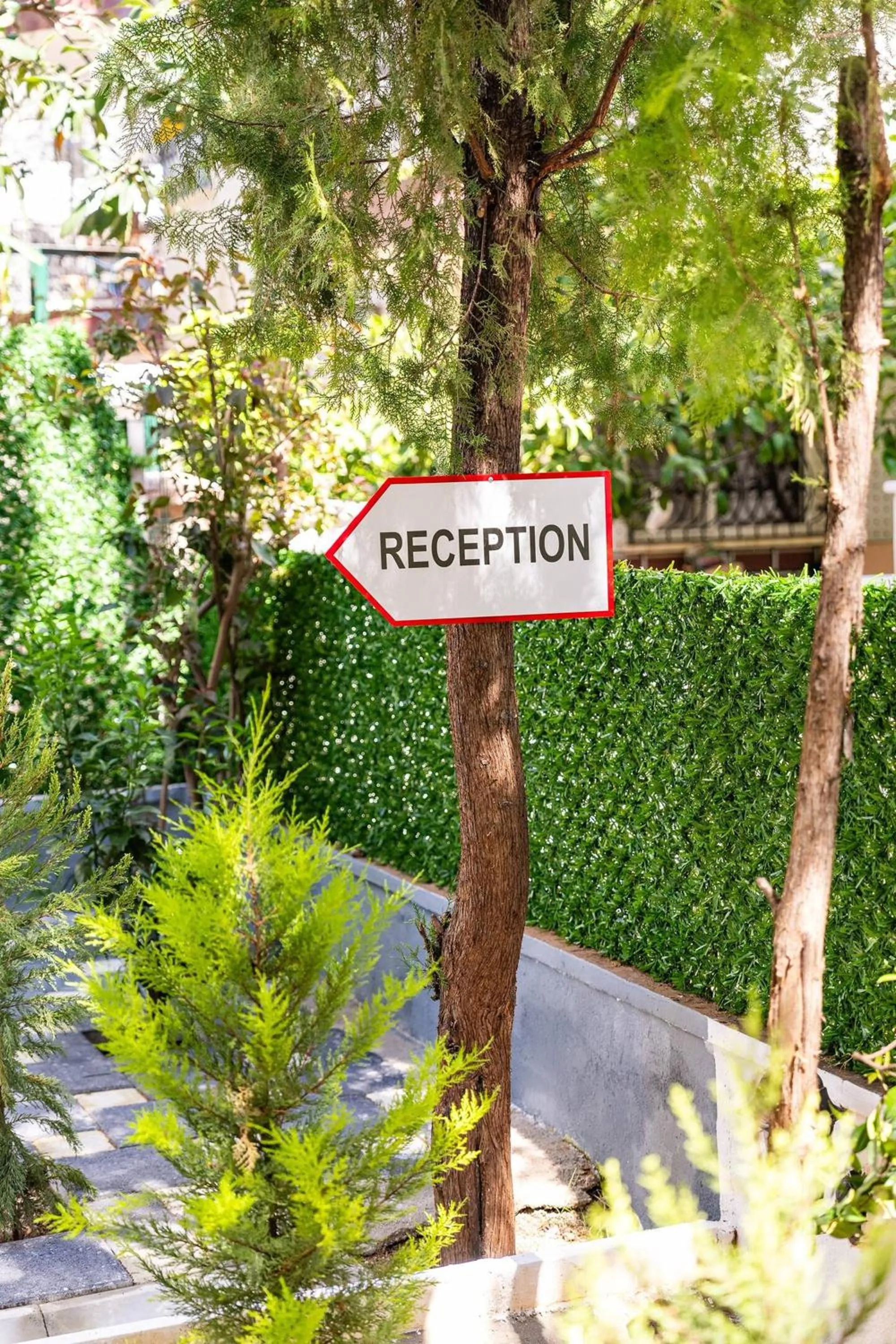 Garden in Loi Suite