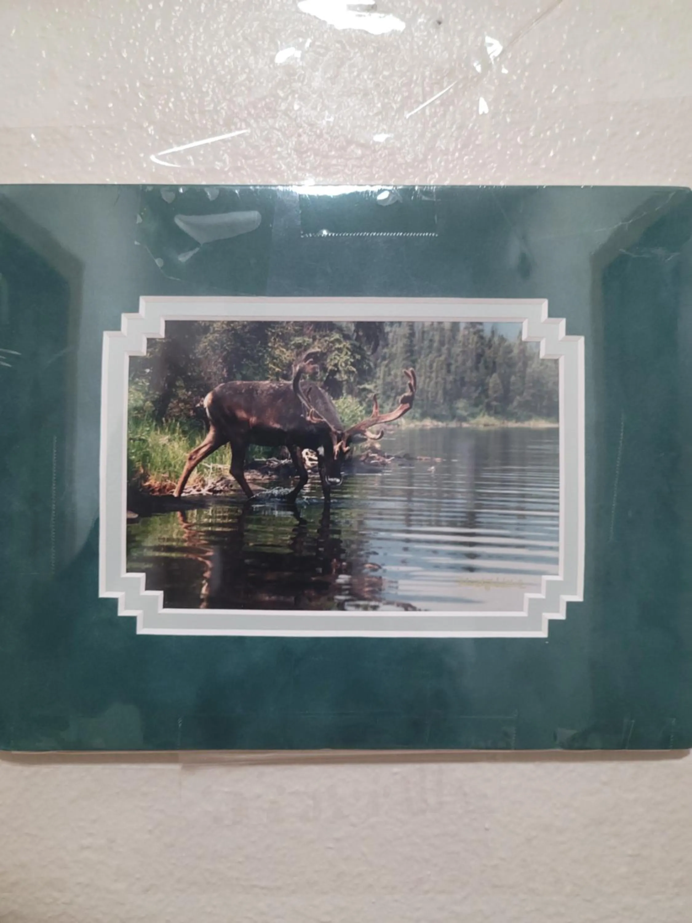 Decorative detail in RJN