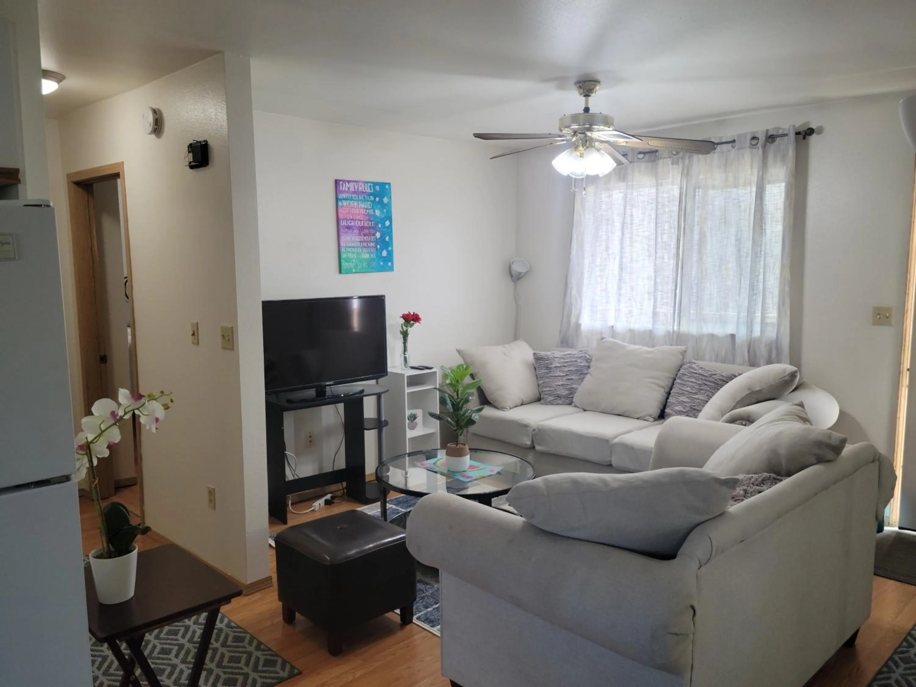 TV and multimedia in RJN