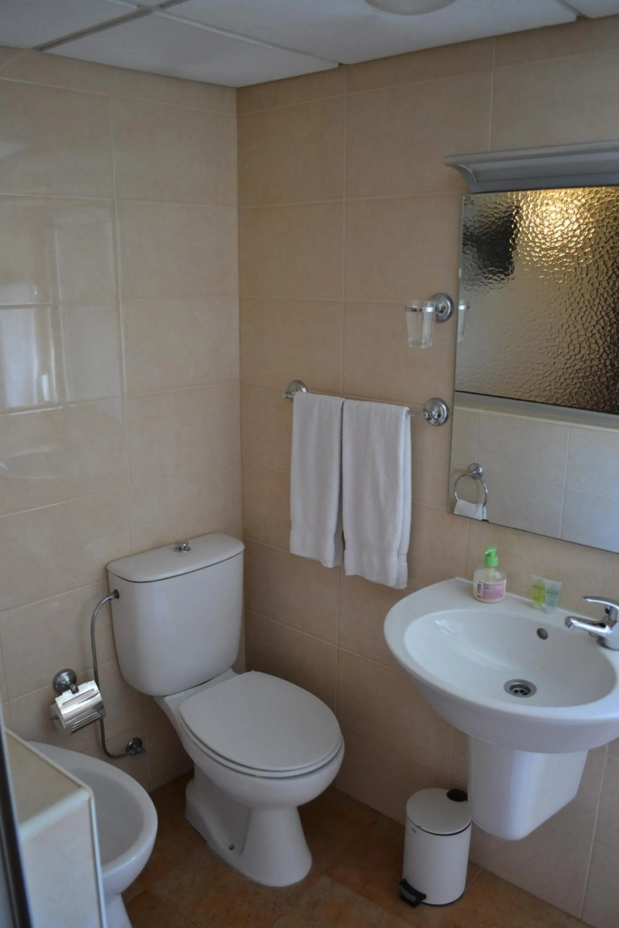 Twin Room in Alcamim Guesthouse