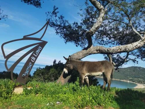 Village de vacances Paese di Lava, Grand Ajaccio