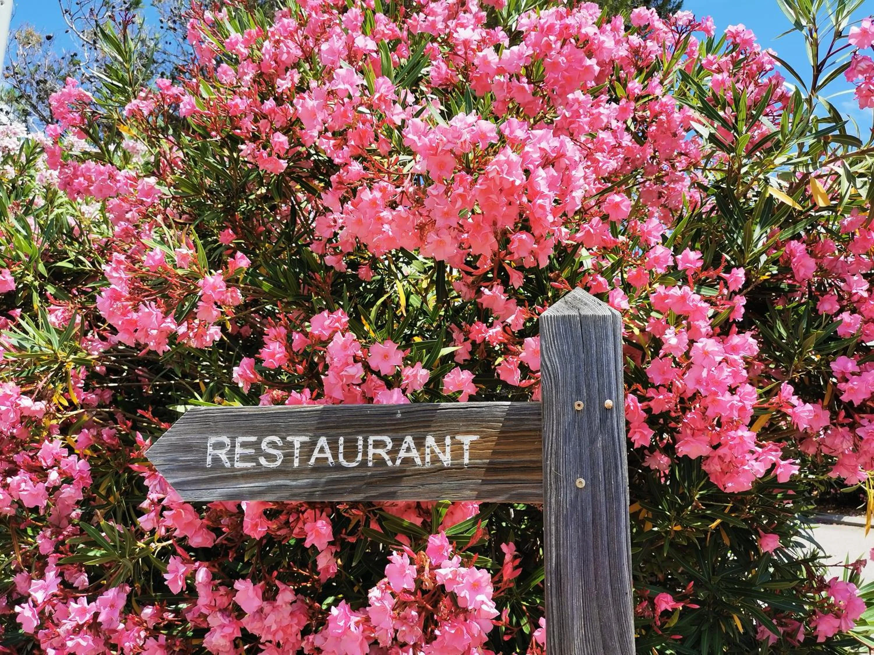 Spring in Village de vacances Paese di Lava, Grand Ajaccio