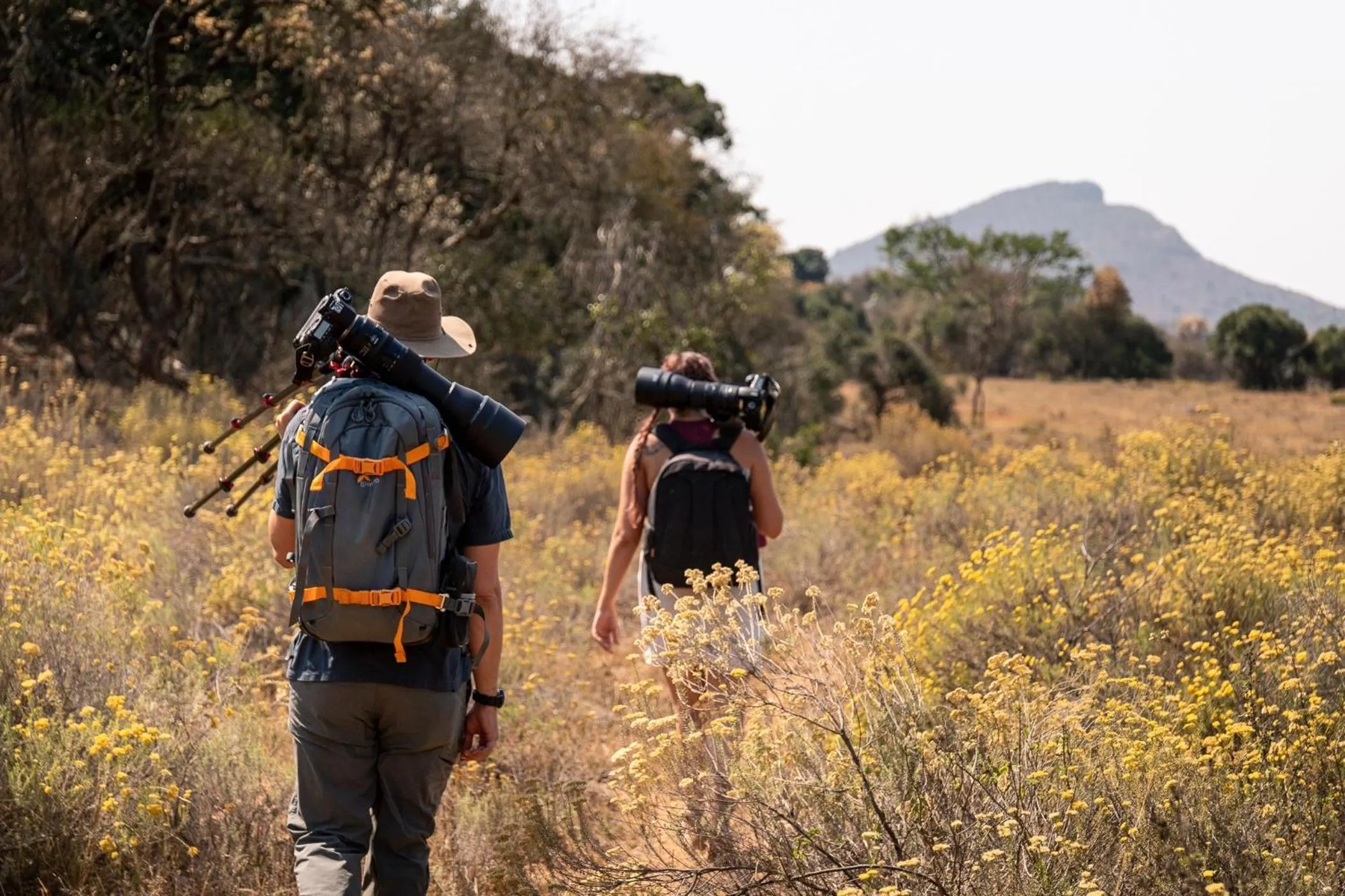 Activities in Leshiba Wilderness