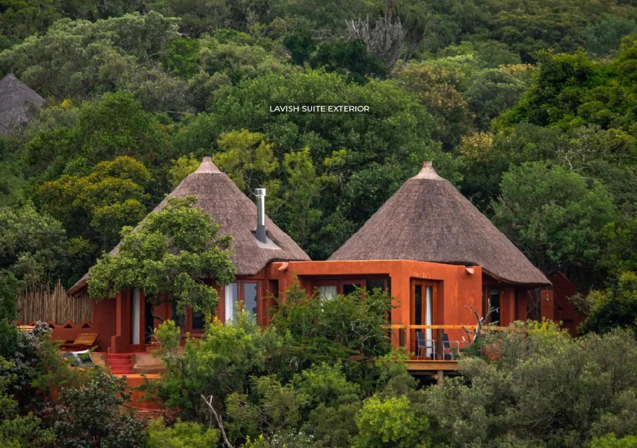 View (from property/room) in Leshiba Wilderness