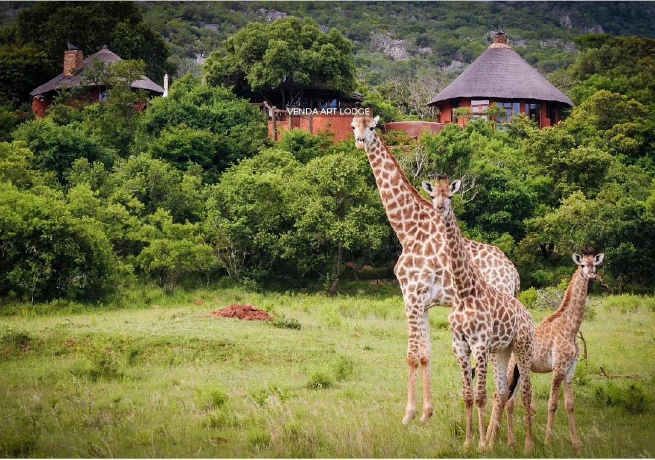 Property building in Leshiba Wilderness