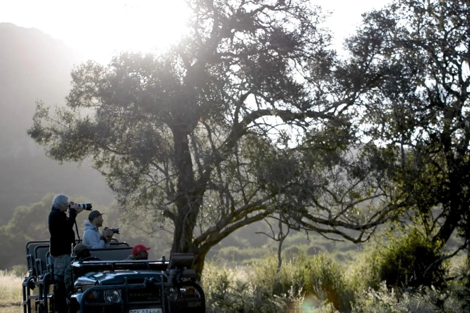 Activities in Leshiba Wilderness