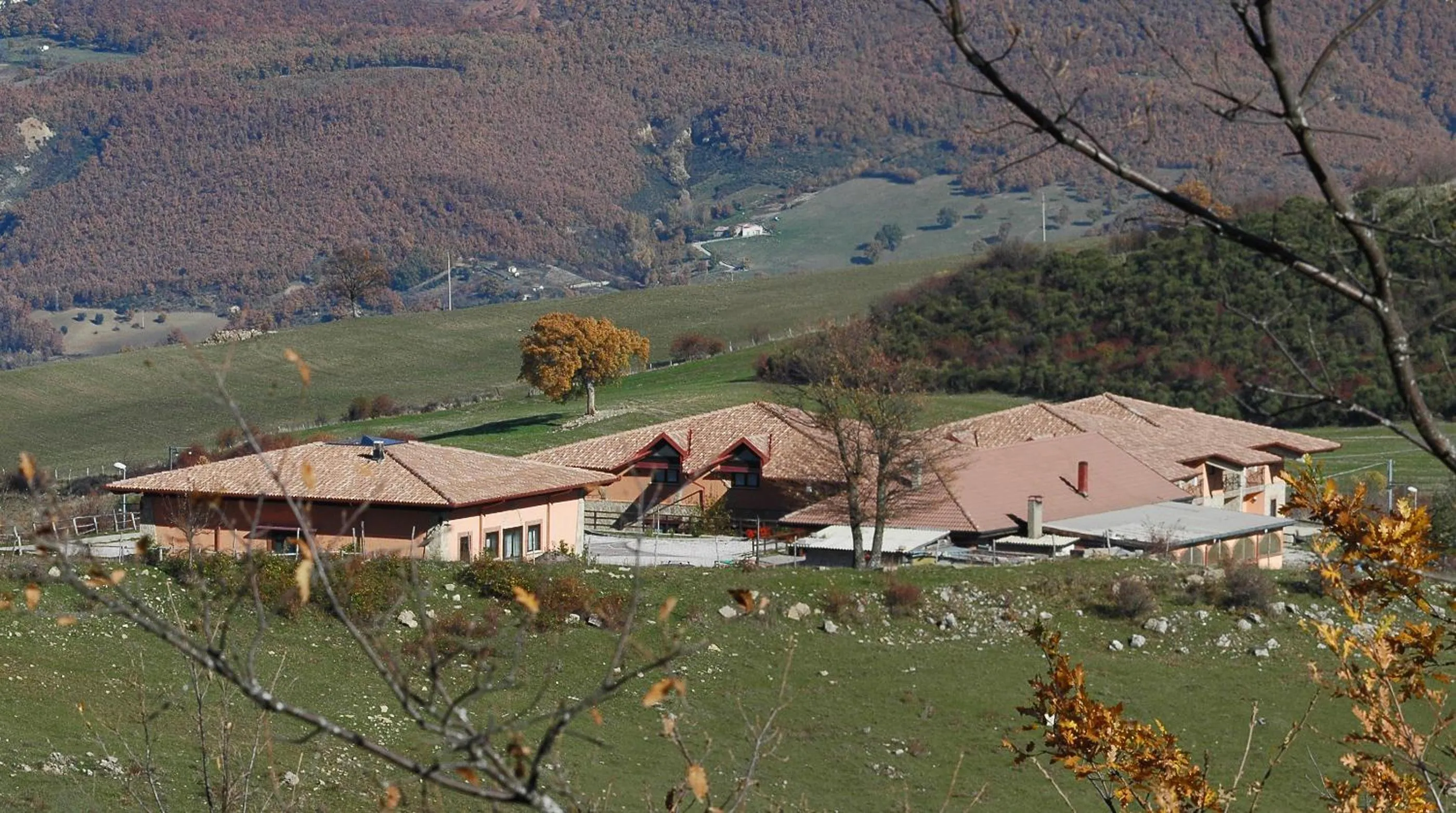 Facade/entrance in Hotel Pietrapanna
