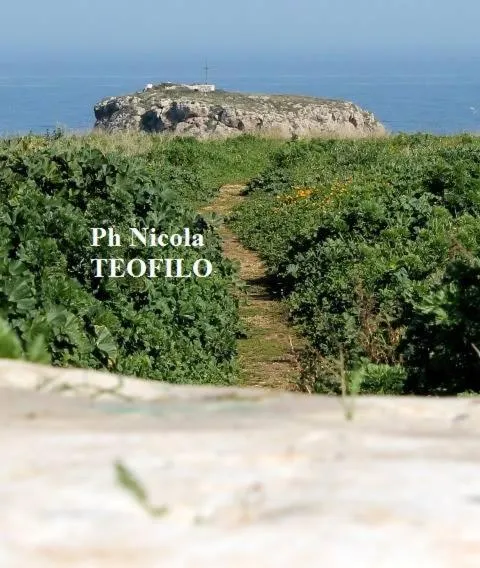 Property building in La Casetta di Chiara B&B