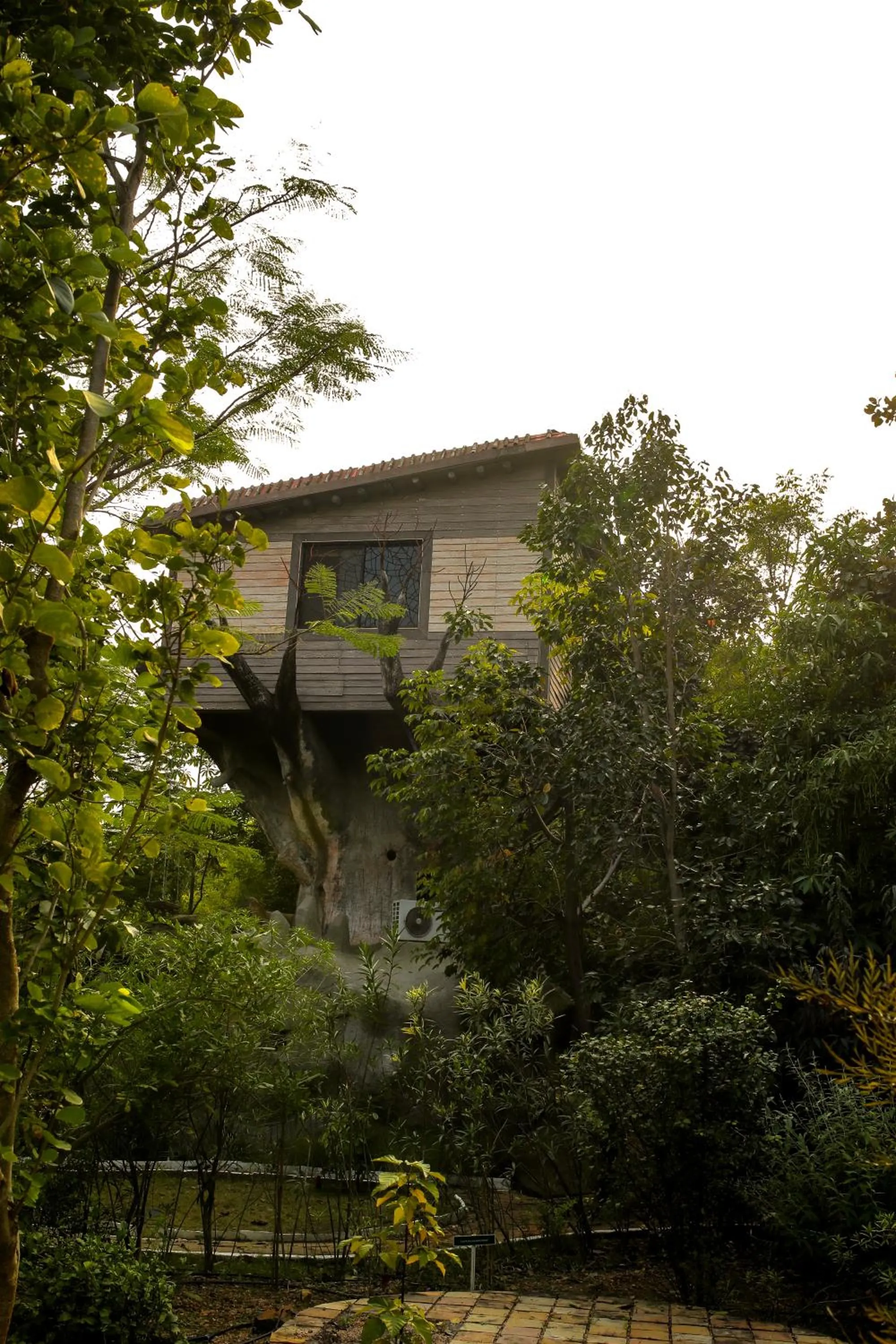 Property building in Tathastu Pench