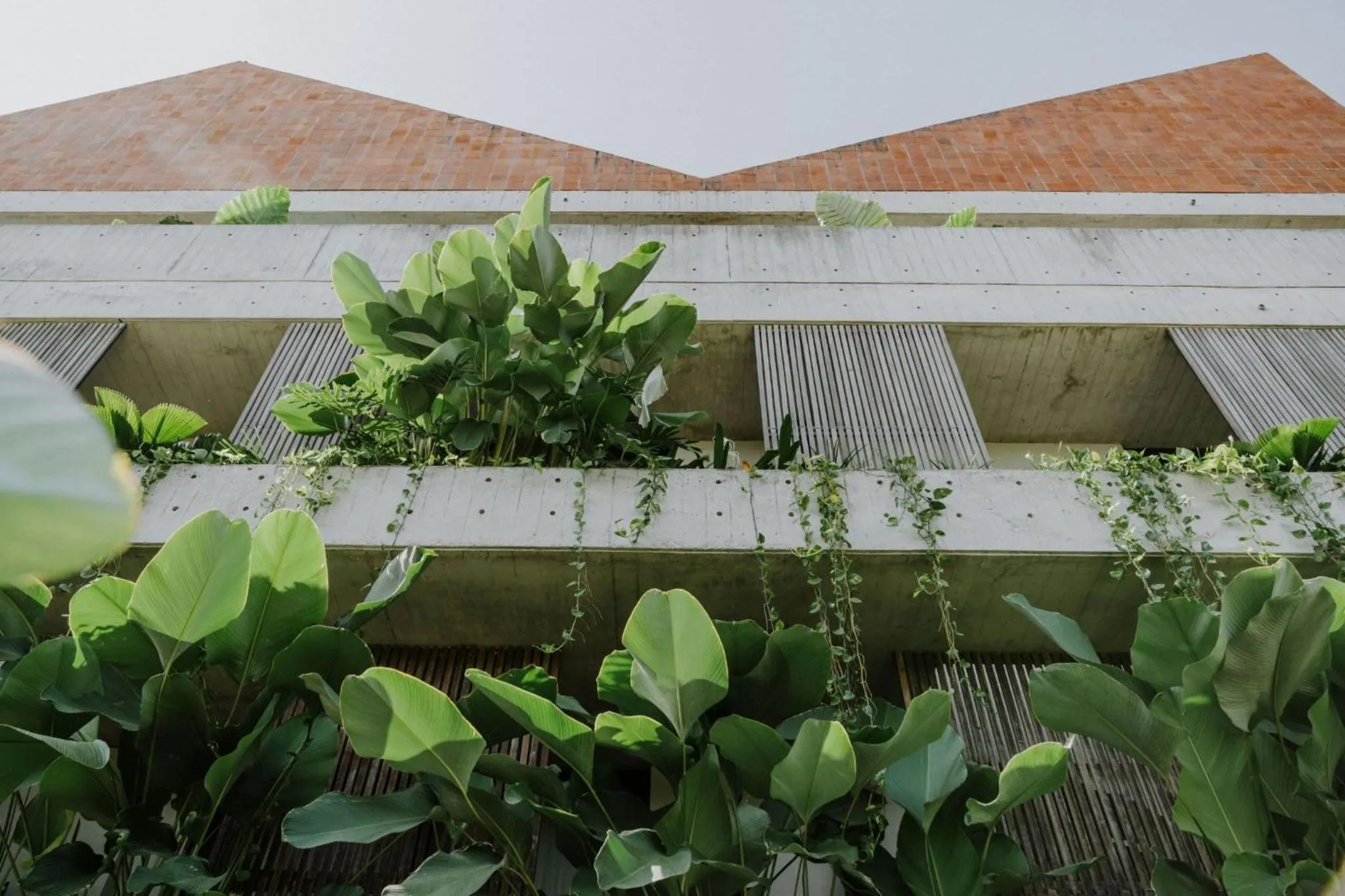 Property building in The Komu Canggu Bali