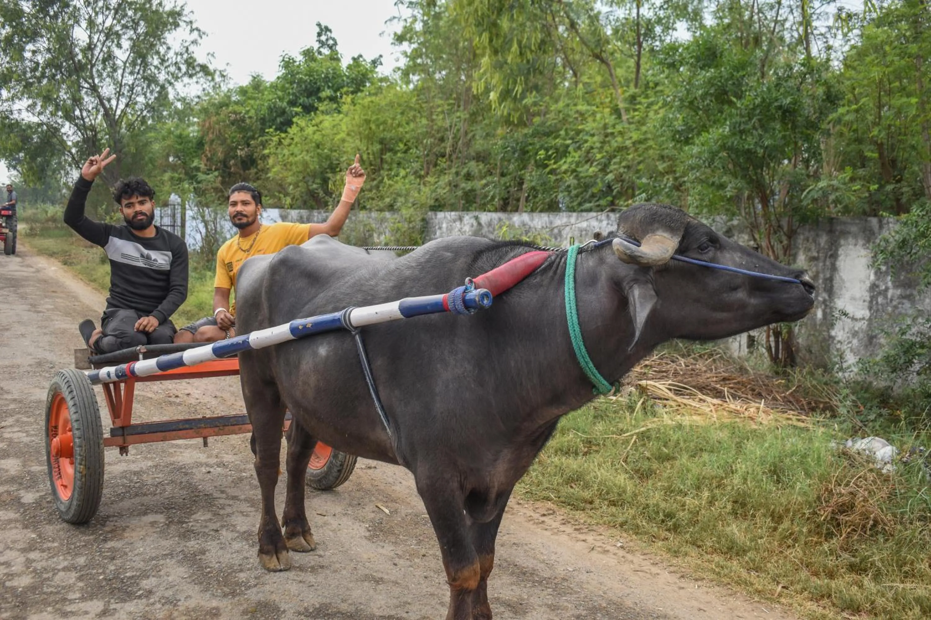 Day in MST Cricket Village By Four Leaf Hotels