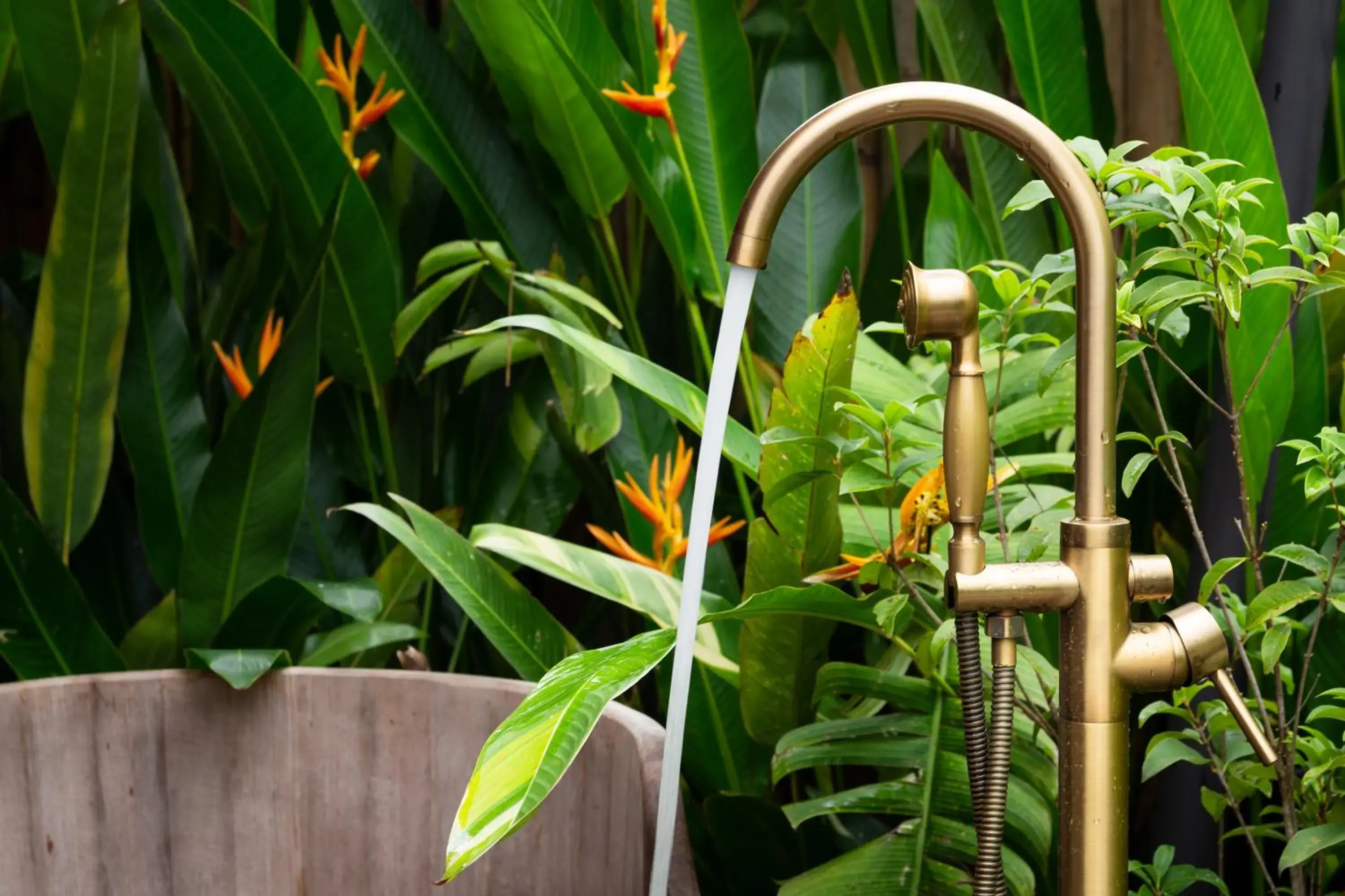 Bath in CAMP CAYLA - EDEN Bath in CAMP CAYLA - EDEN