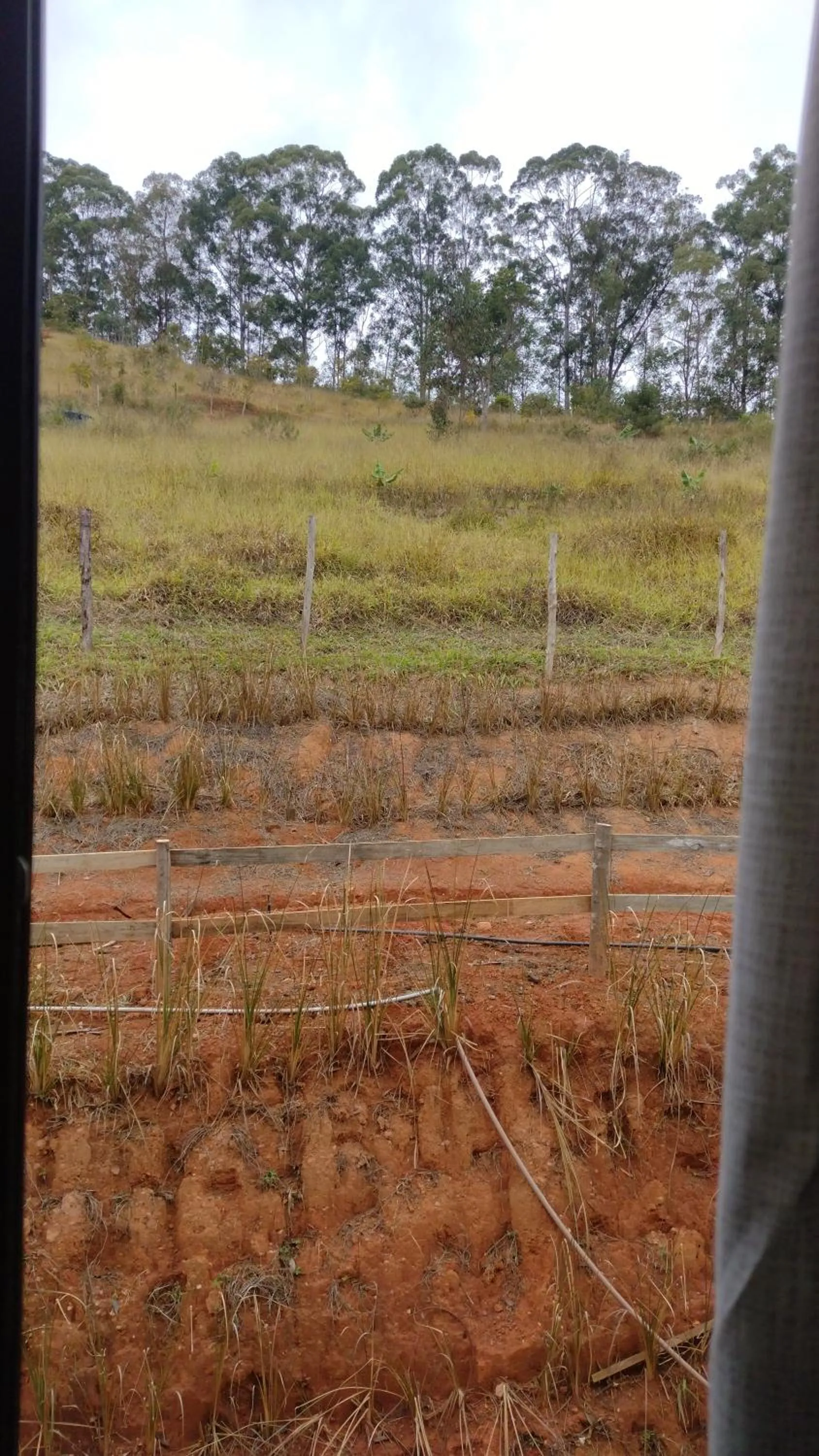 View (from property/room) in Pousada Boutique Raio de Luz