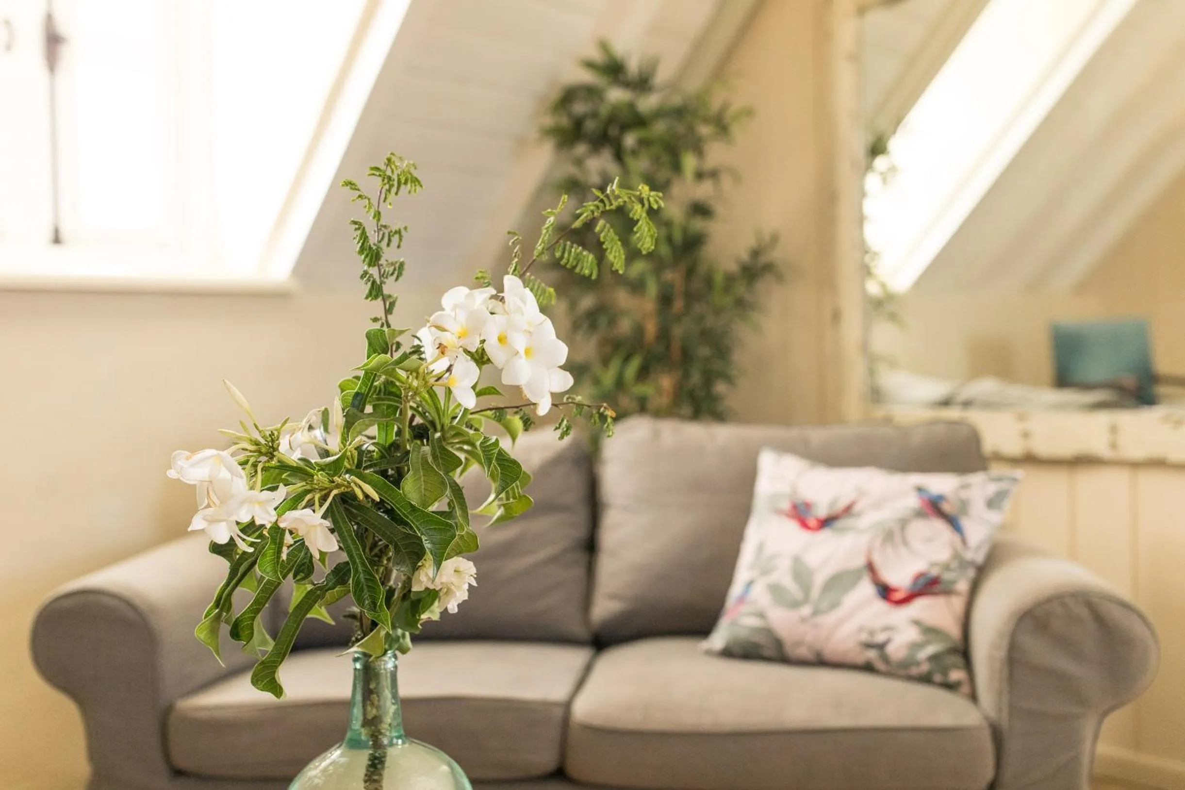 Decorative detail in Landhuis Klein Santa Martha Boutique Hotel Restaurant.