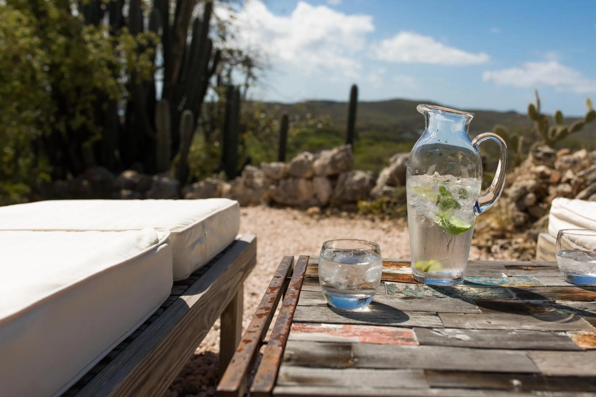 Garden in Landhuis Klein Santa Martha Boutique Hotel Restaurant.