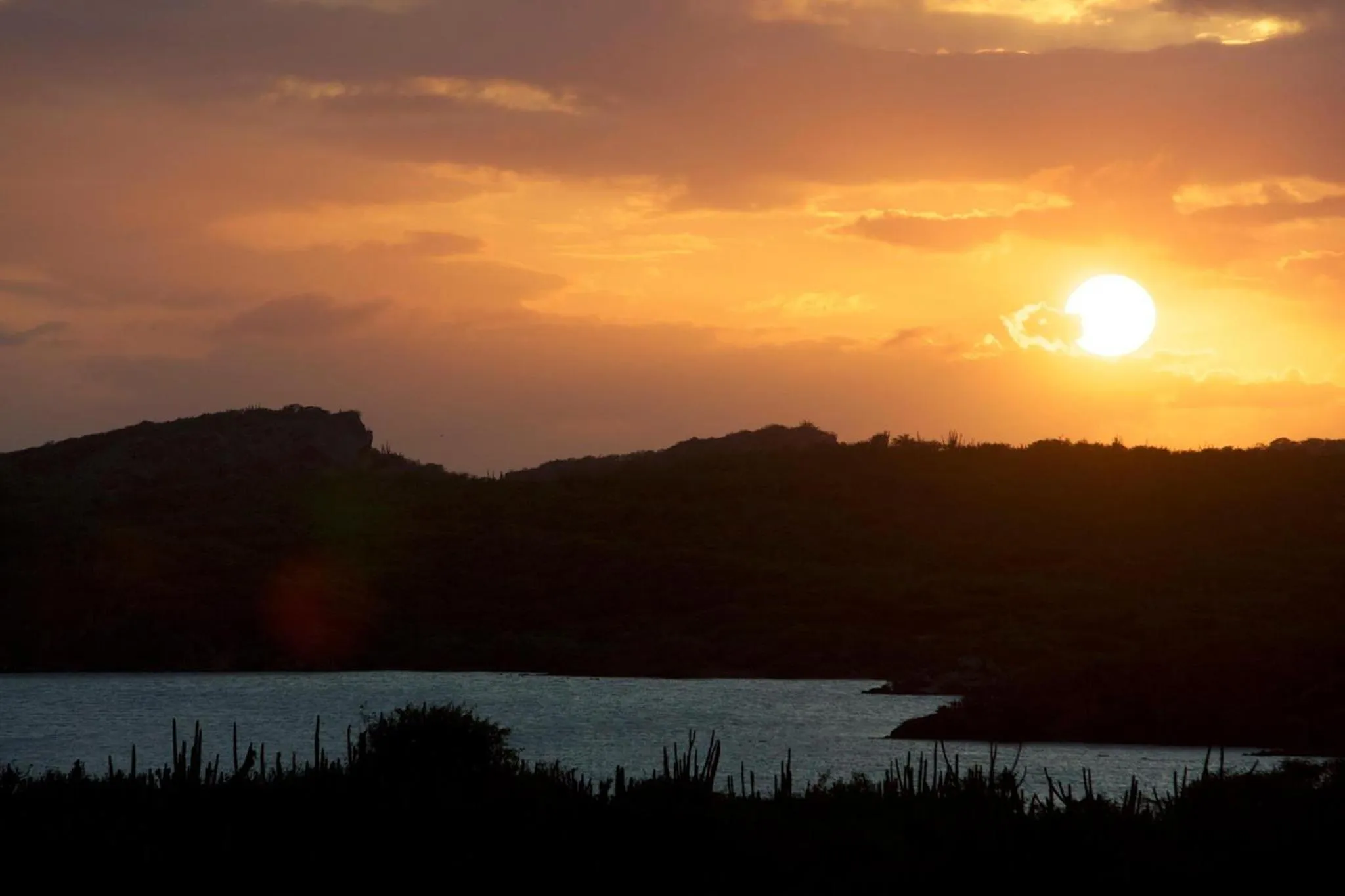 Off site in Landhuis Klein Santa Martha Boutique Hotel Restaurant.