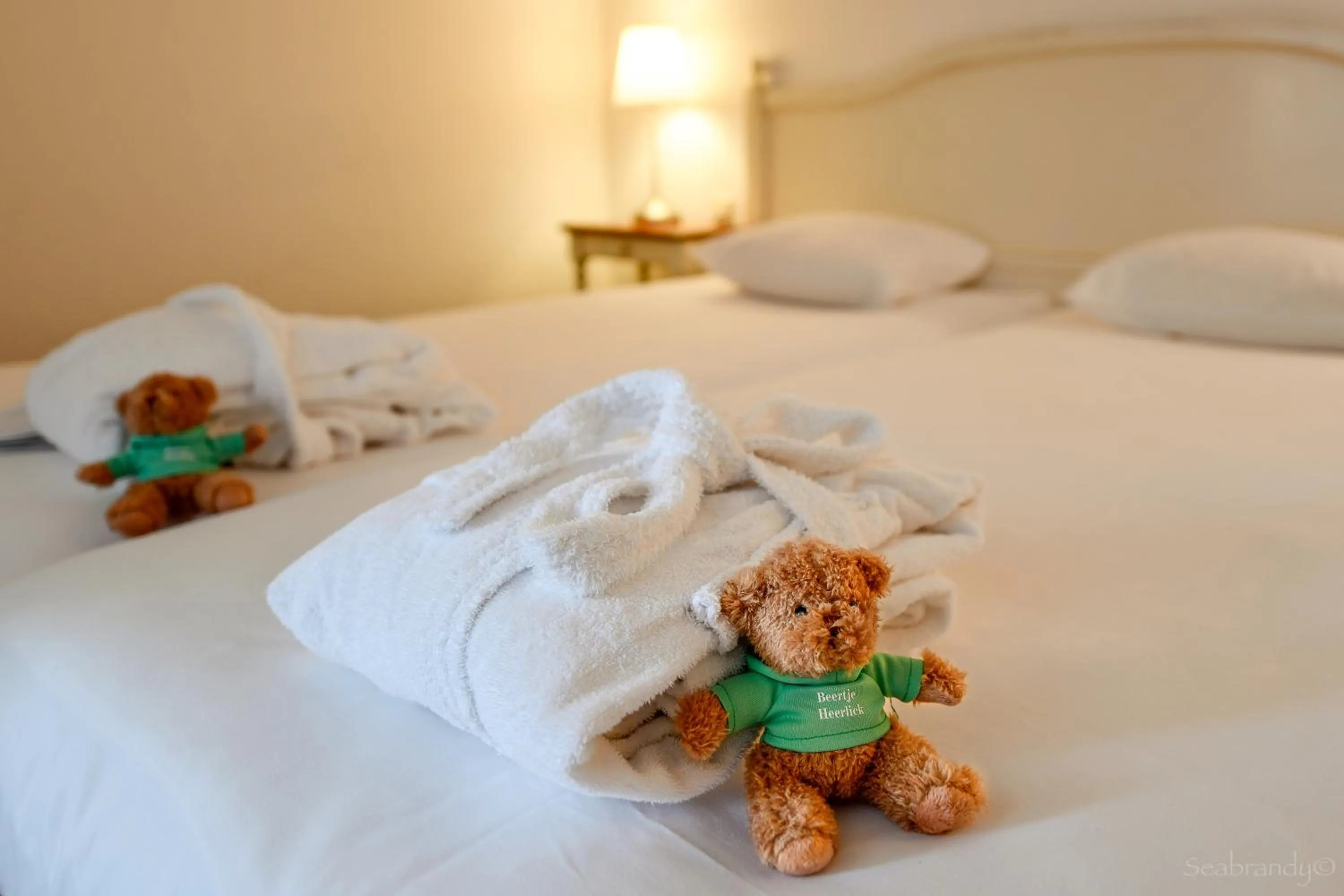 Bedroom in Heerlickheijd van Ermelo