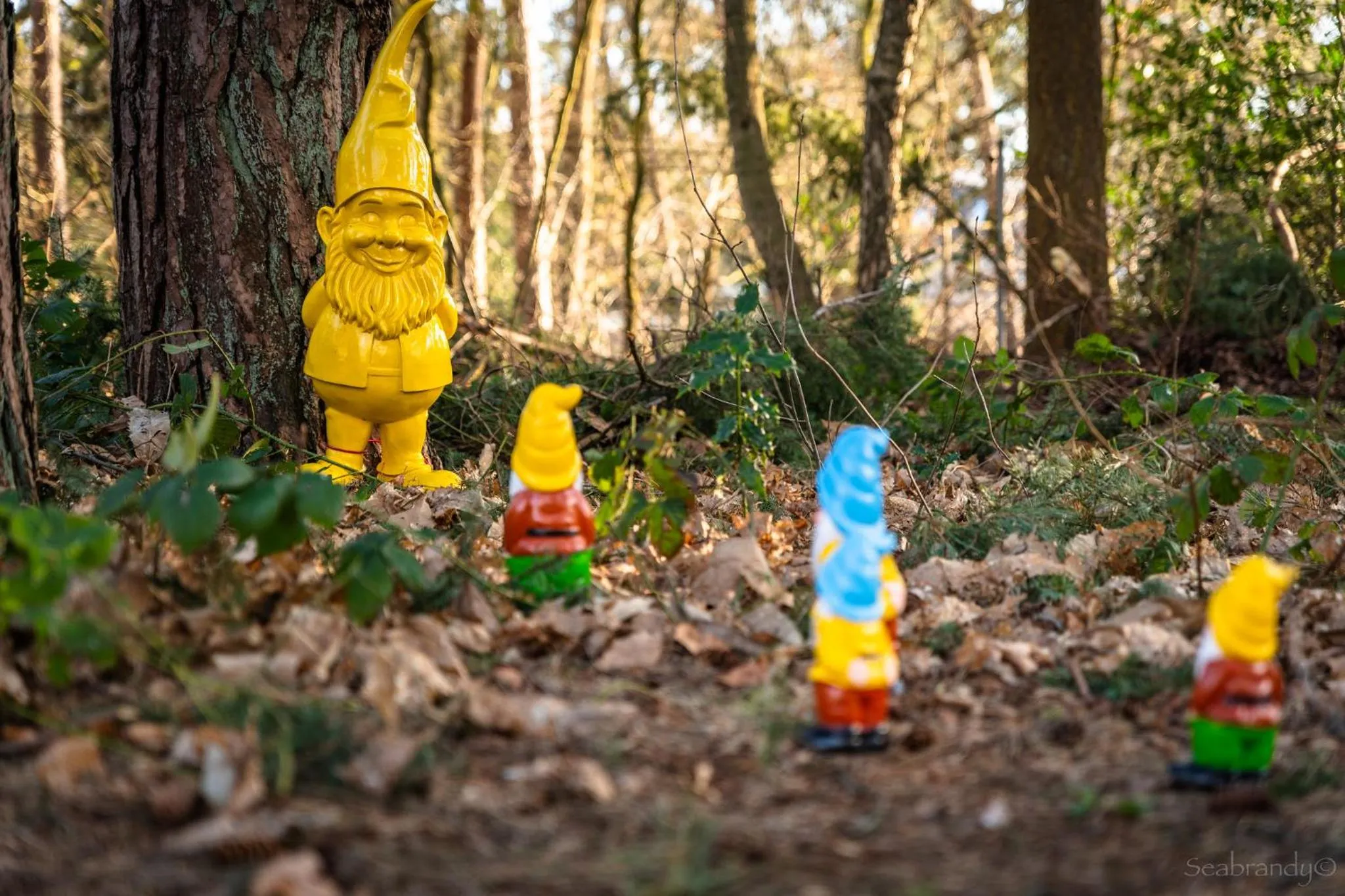 Children play ground in Heerlickheijd van Ermelo