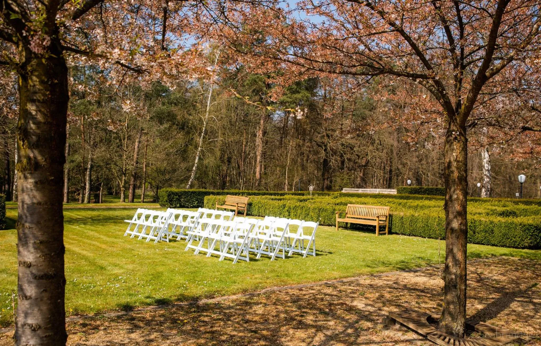 wedding in Heerlickheijd van Ermelo