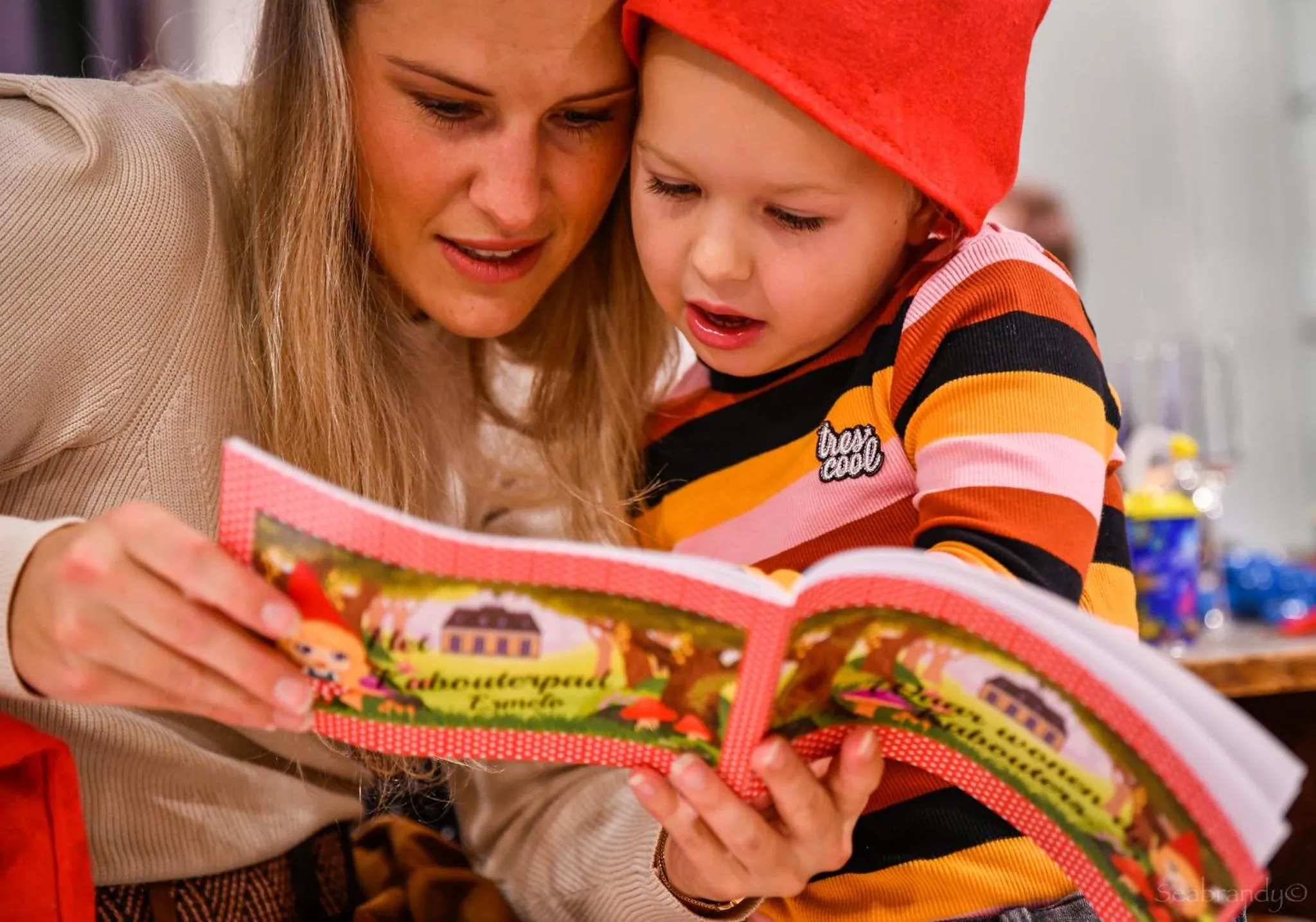 Children play ground in Heerlickheijd van Ermelo