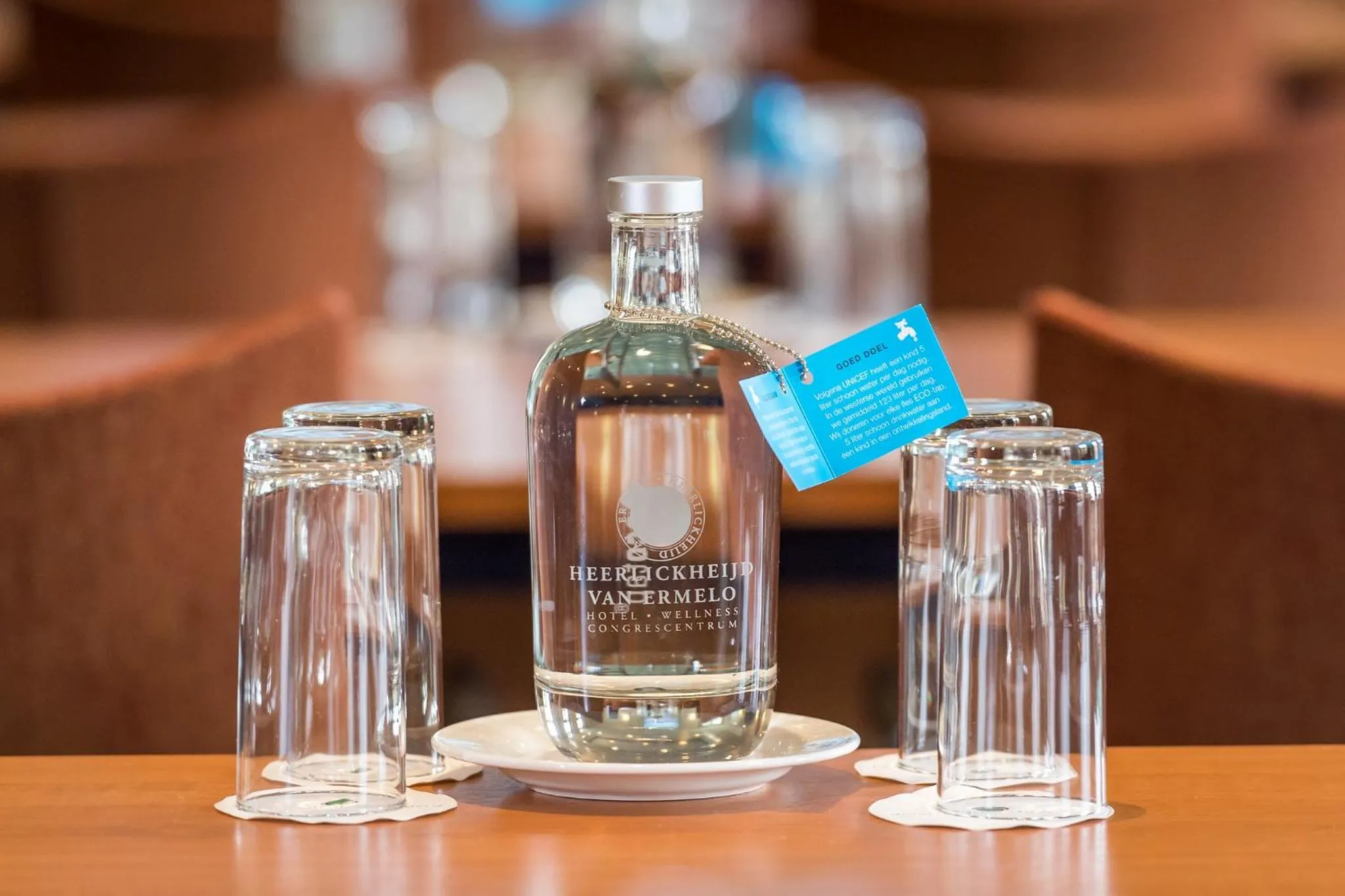 Meeting/conference room in Heerlickheijd van Ermelo