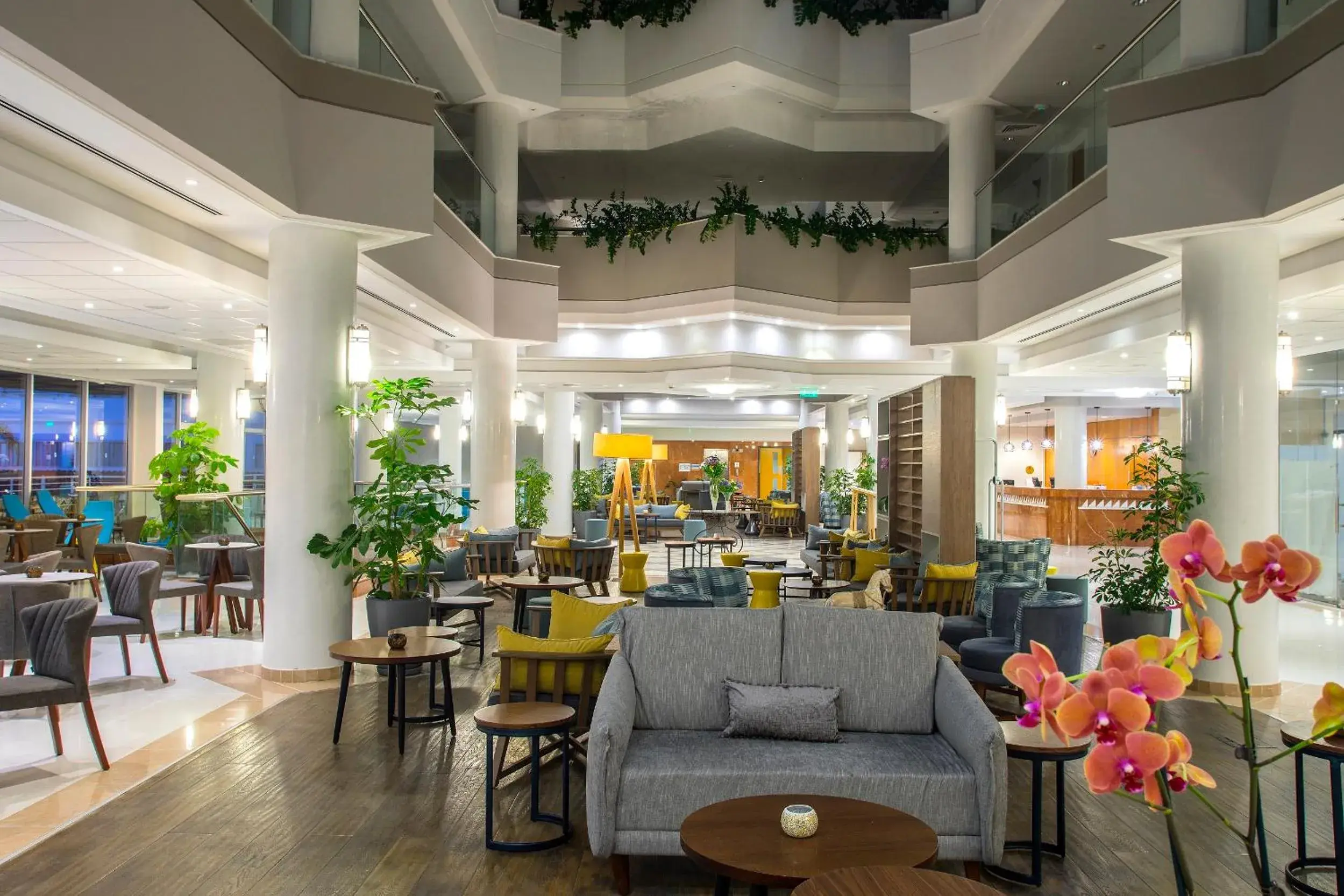 Lounge or bar in Leonardo Cypria Bay Lounge or bar in Leonardo Cypria Bay