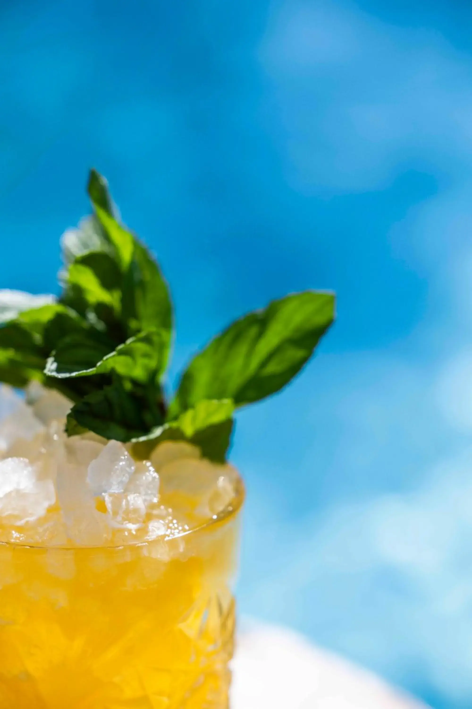 Lounge or bar in Leonardo Cypria Bay Lounge or bar in Leonardo Cypria Bay