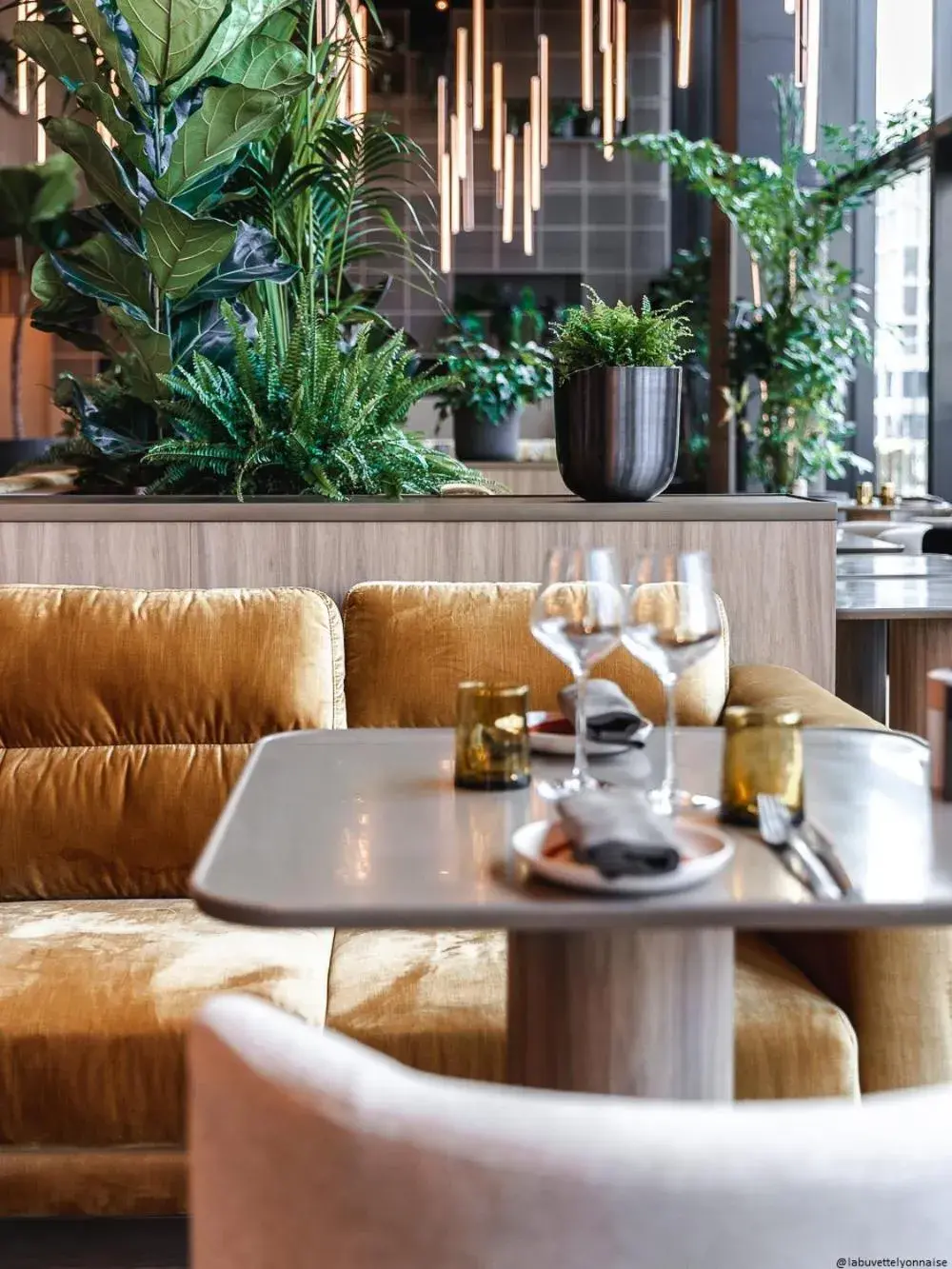 Restaurant/places to eat in Pullman Lyon Restaurant/places to eat in Pullman Lyon