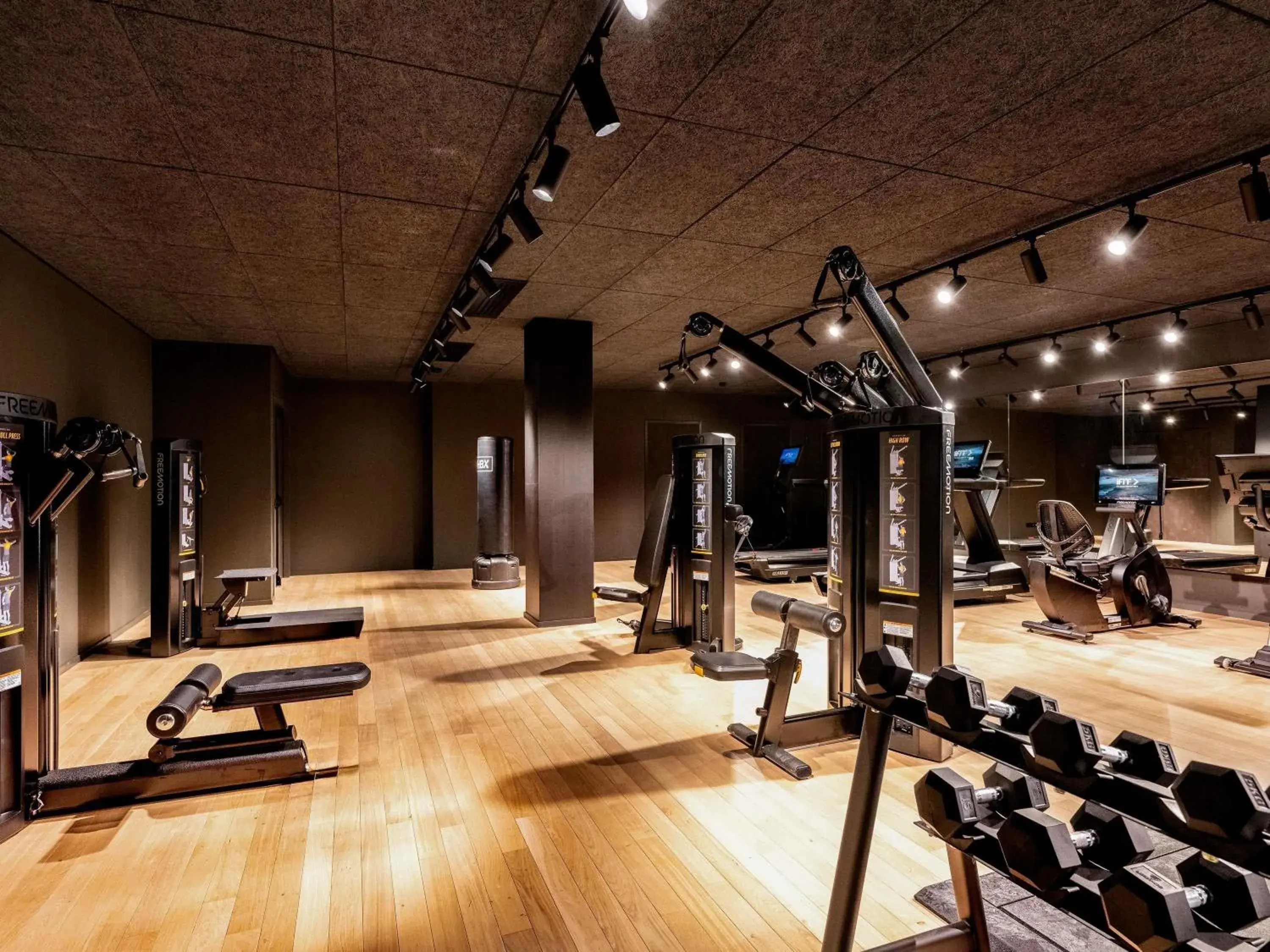 Fitness centre/facilities in Pullman Lyon Fitness centre/facilities in Pullman Lyon