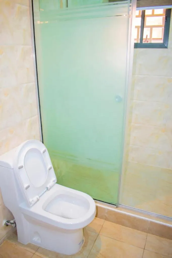 Toilet in ERiTH APARTMENT & SUITES