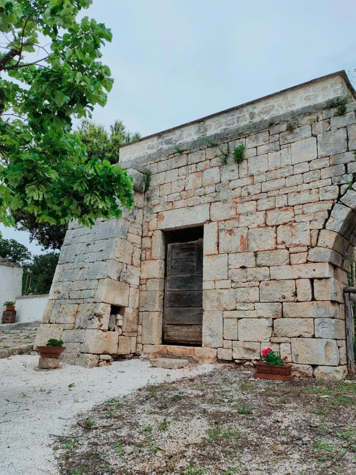 Property building in Masseria Mazzalorsa