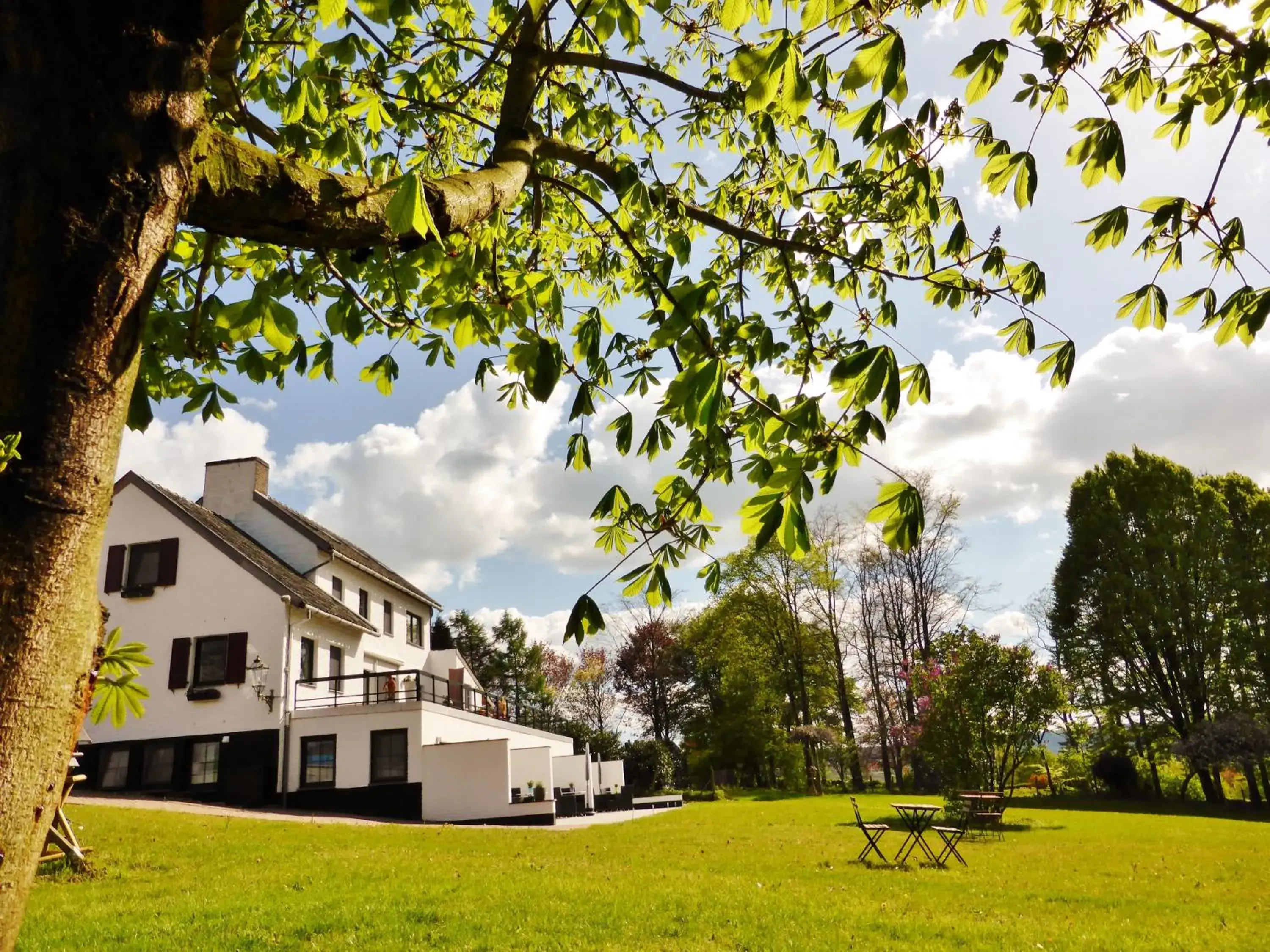 Villa Witte Lelie Villa Witte Lelie